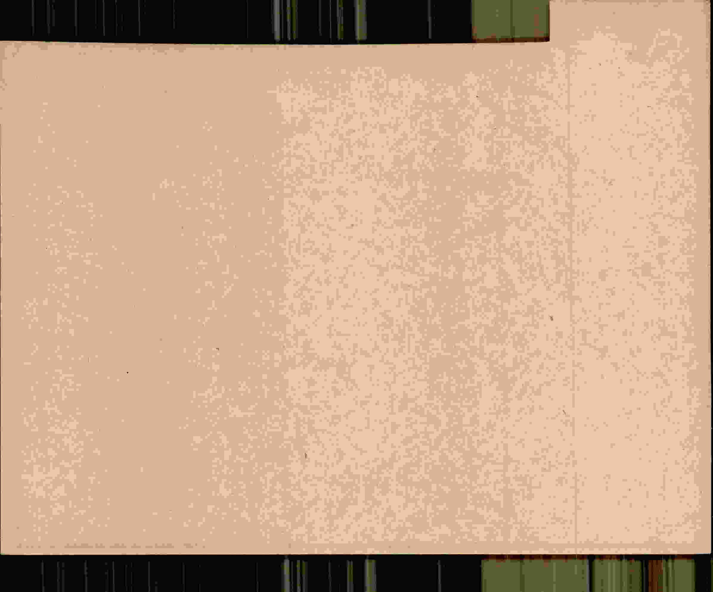 Rückseite des Dokuments