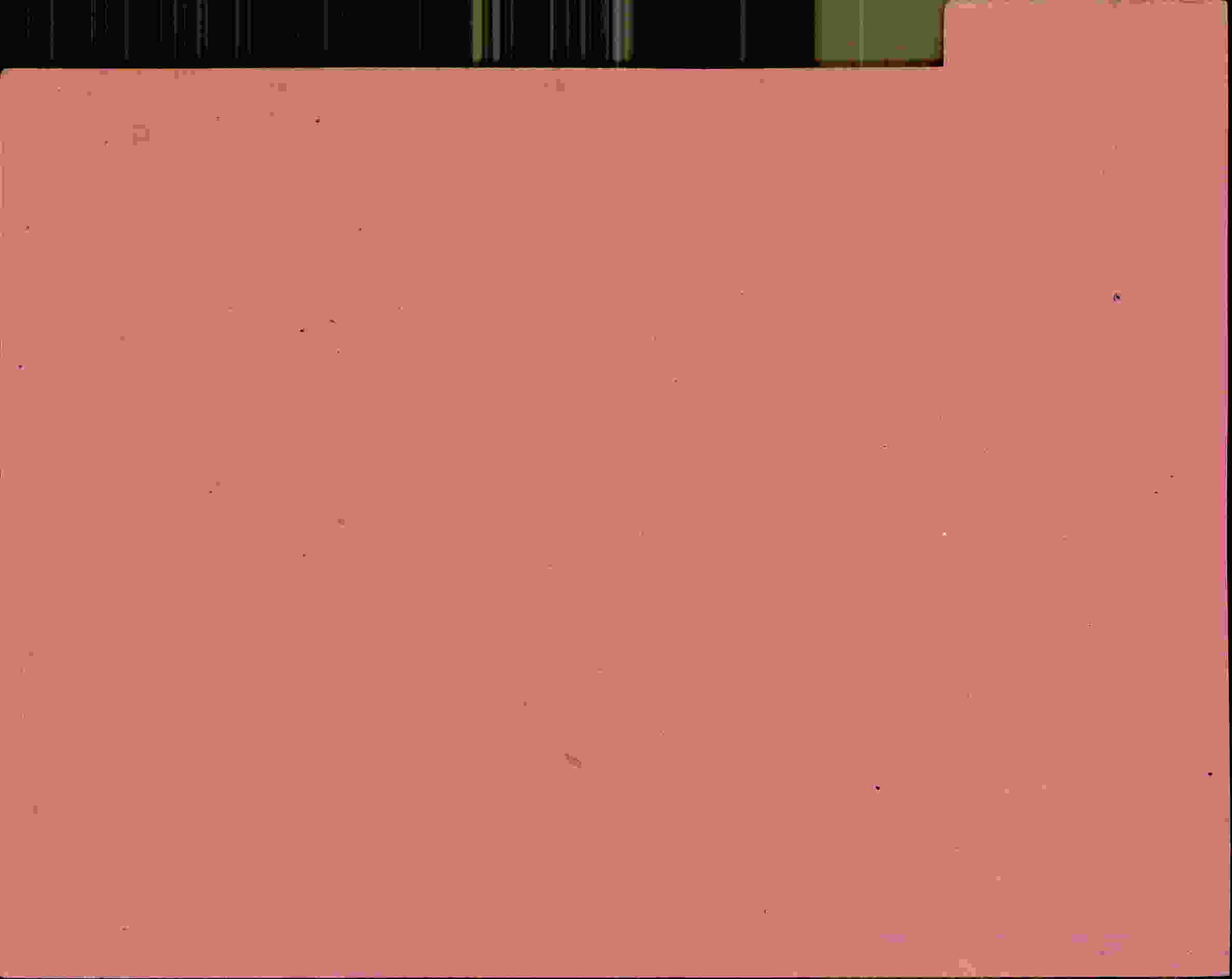 Rückseite des Dokuments