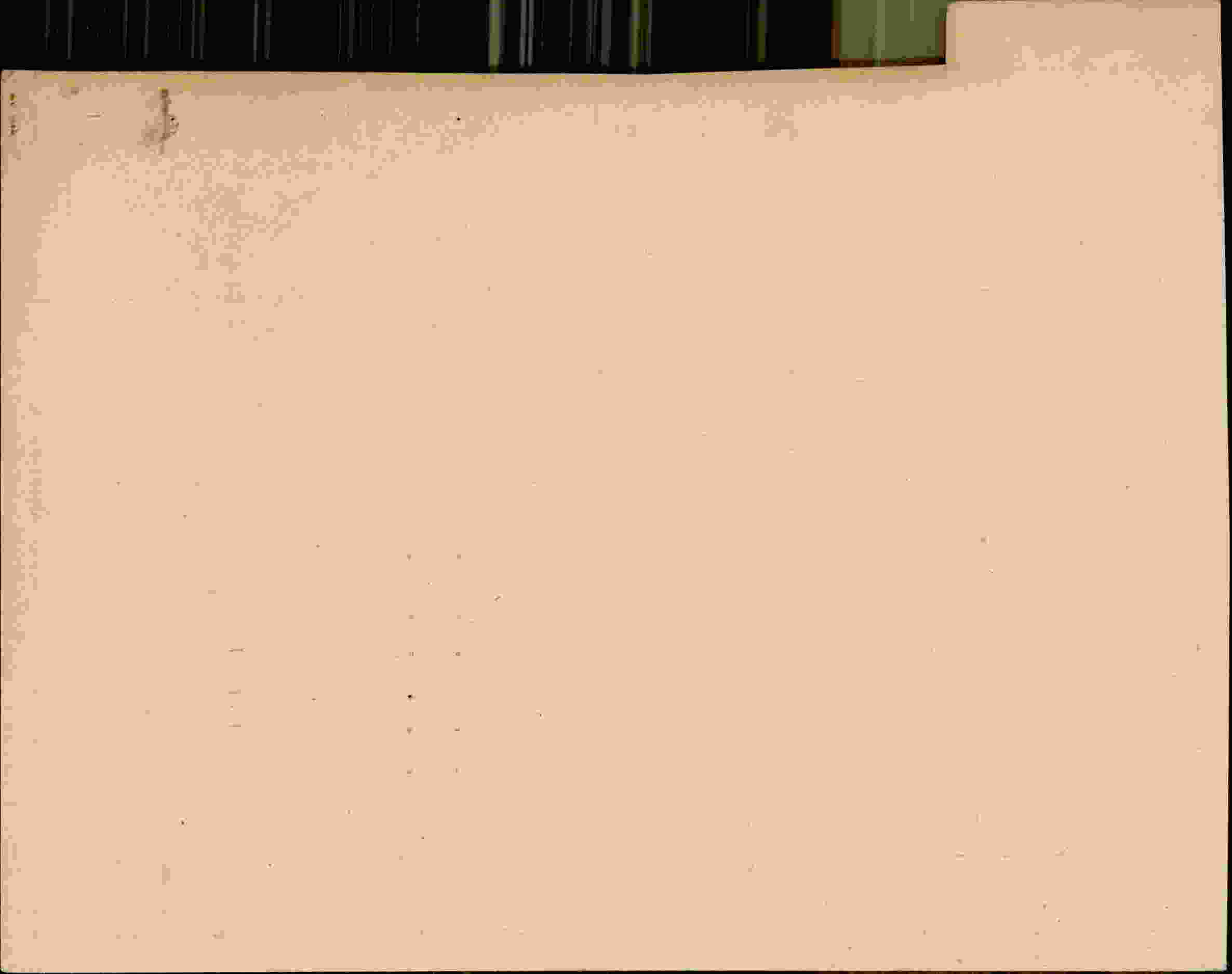 Rückseite des Dokuments