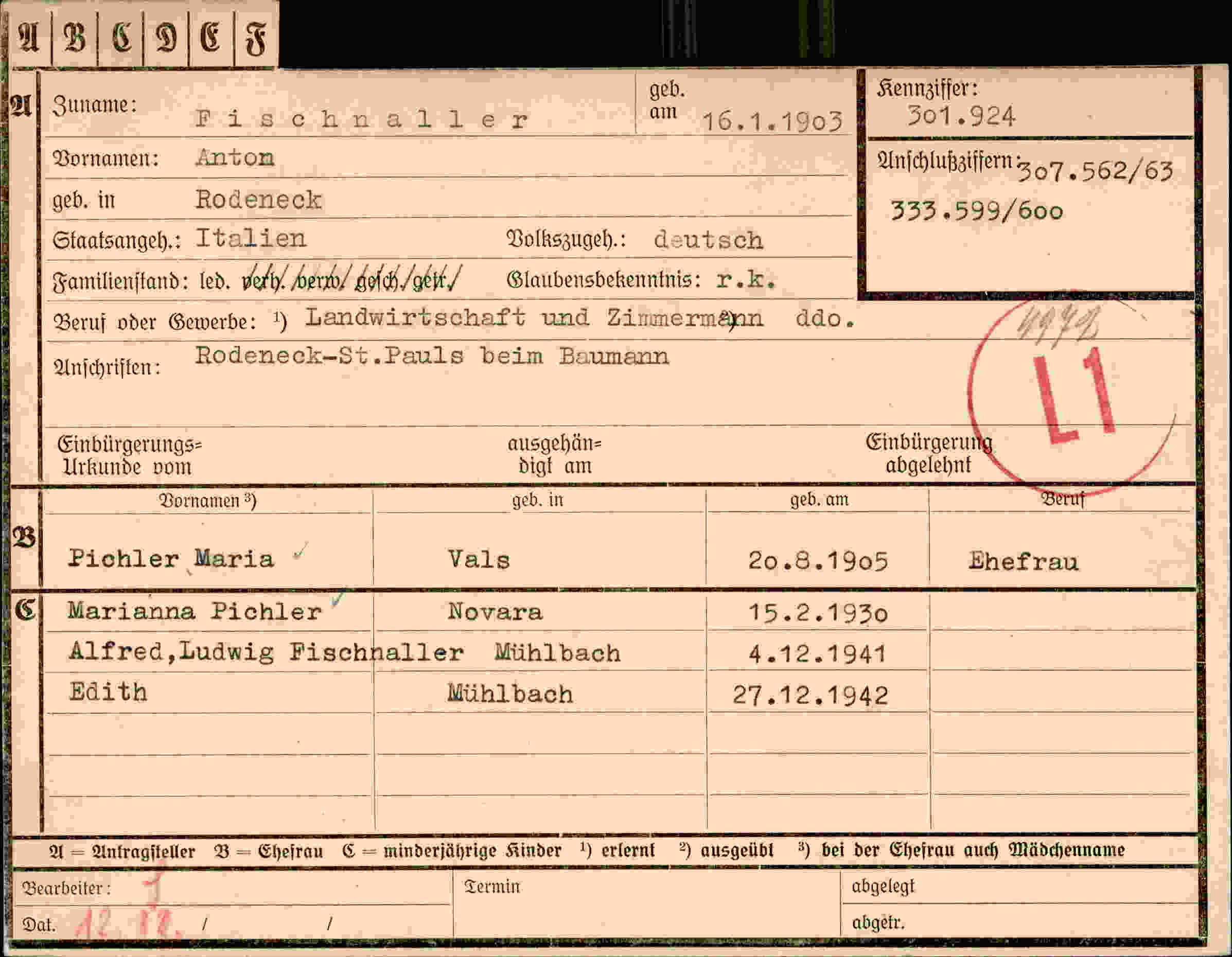 Dokument für Anton Fischnaller