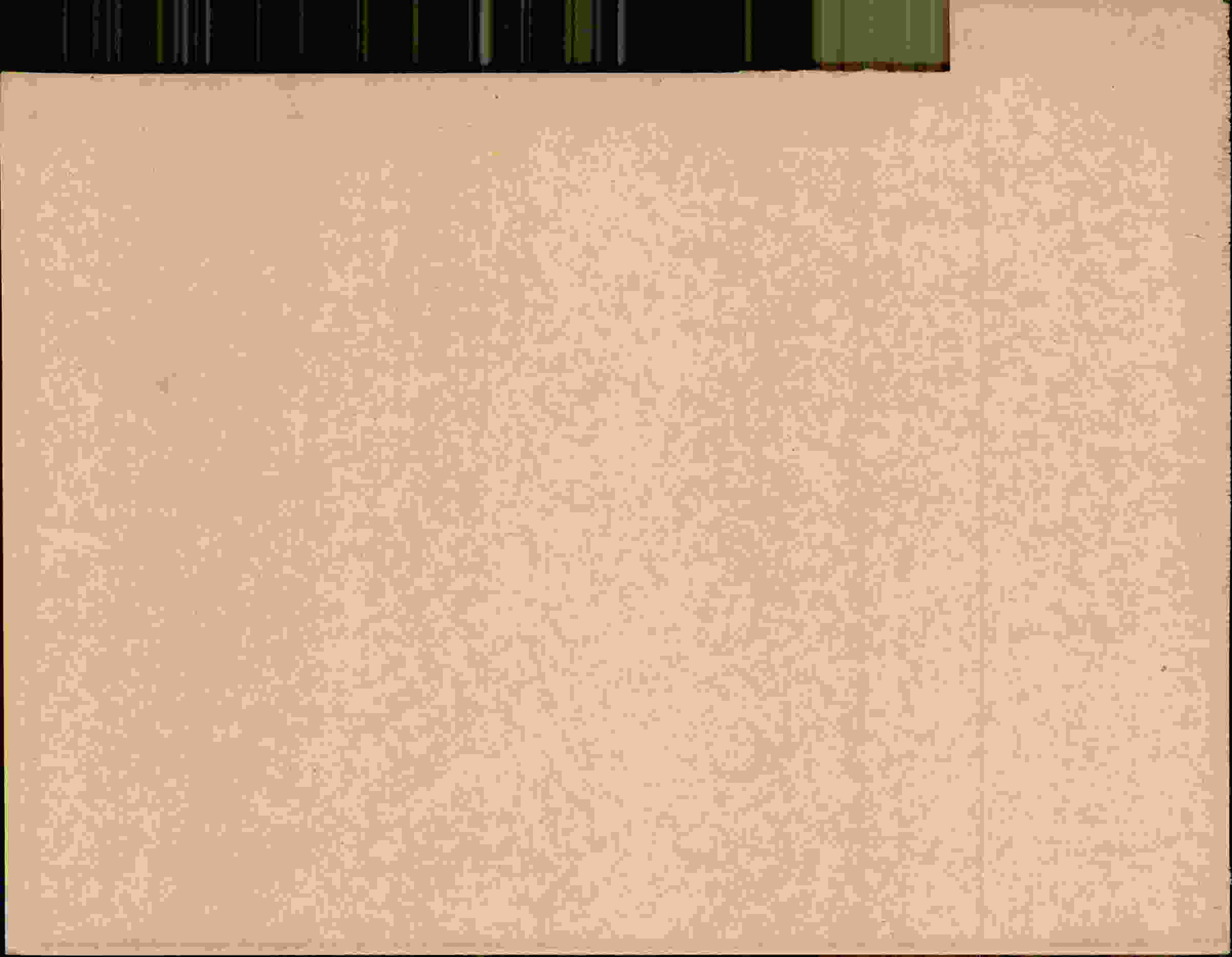 Rückseite des Dokuments