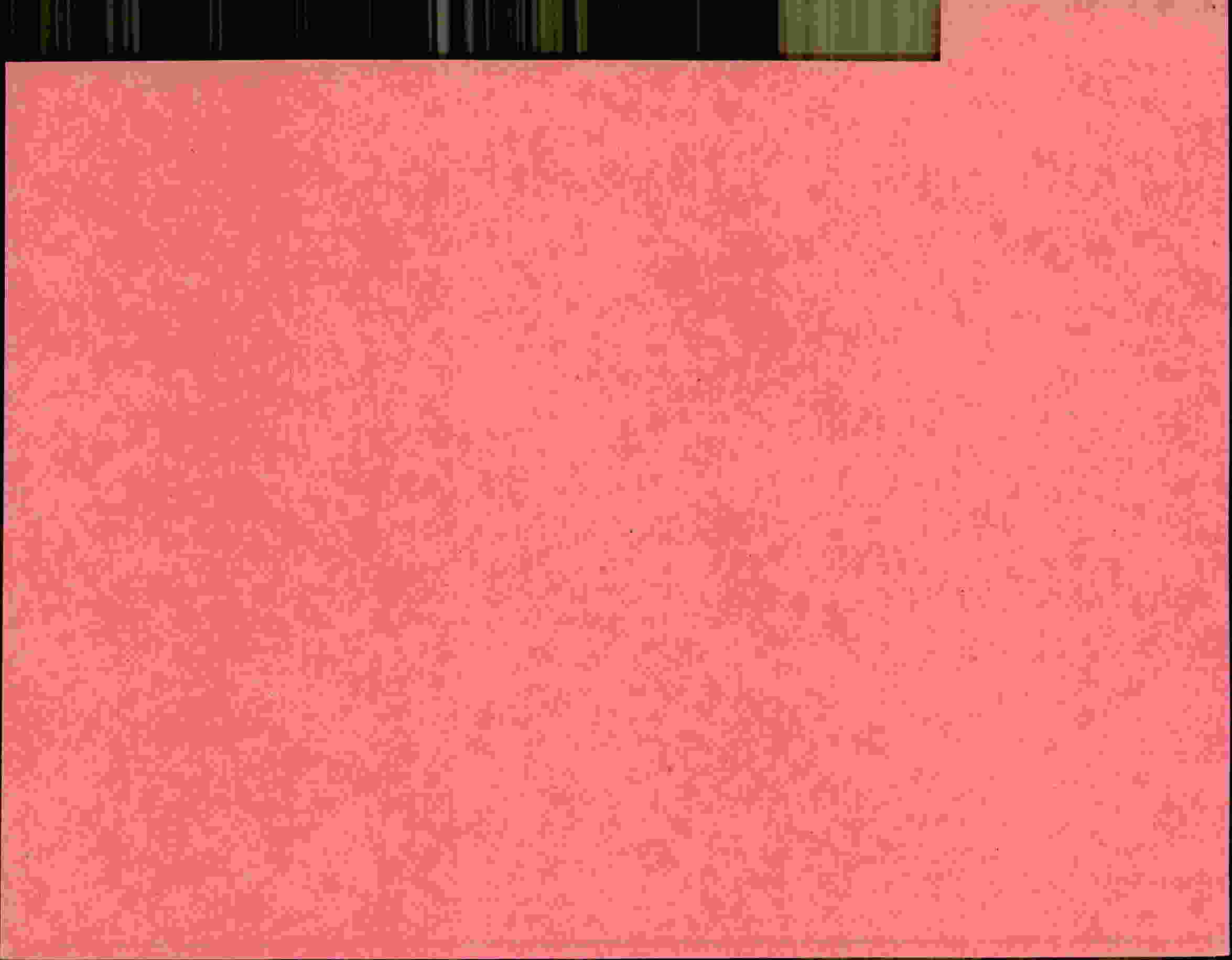 Rückseite des Dokuments