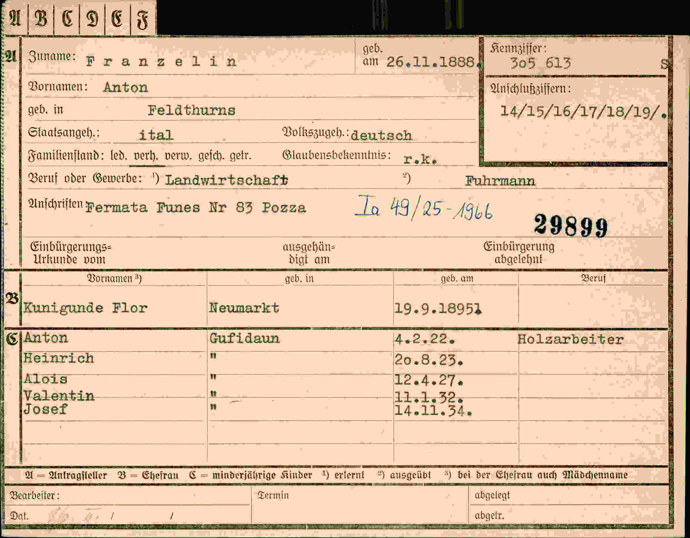 Dokument für Anton Franzelin