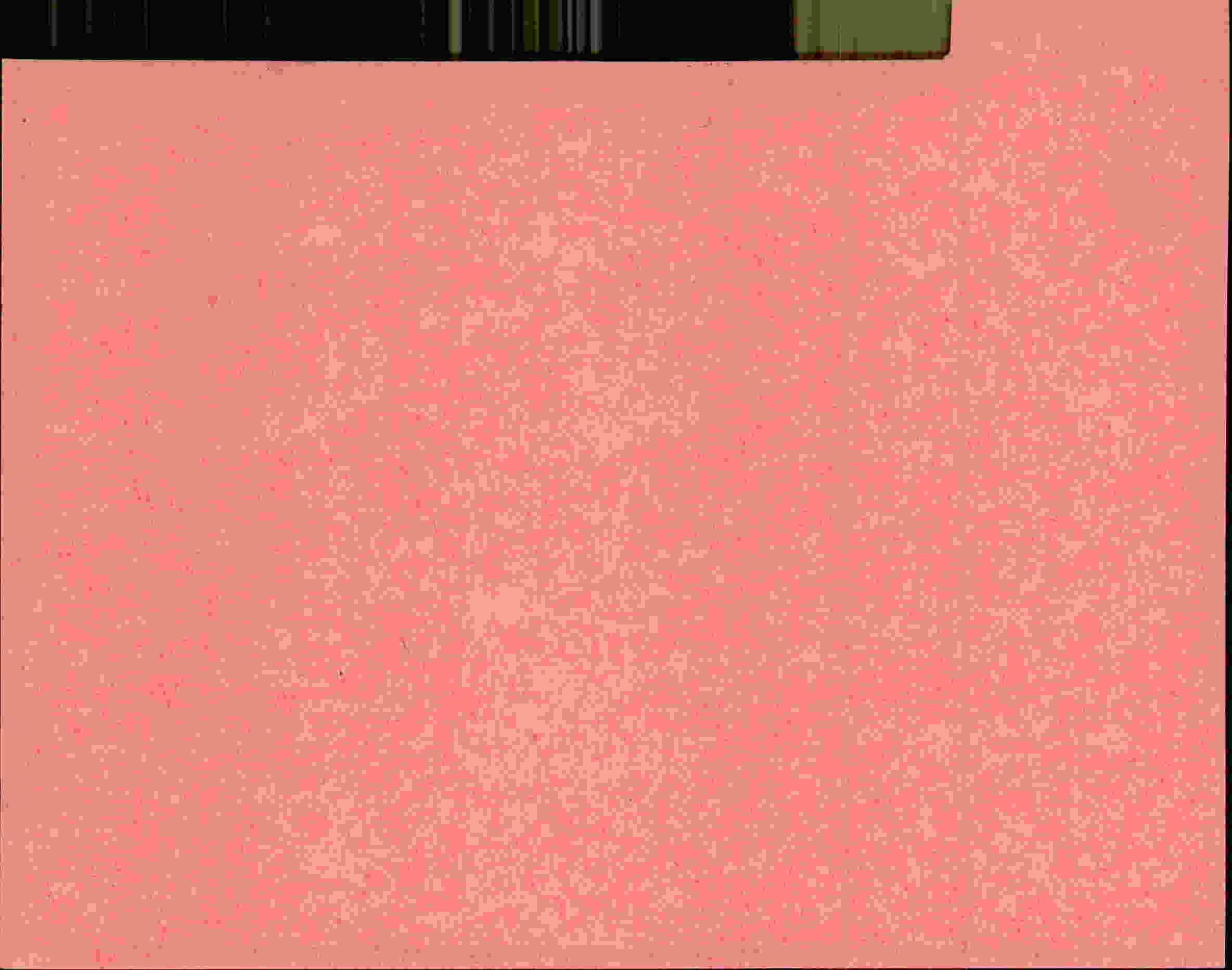 Rückseite des Dokuments
