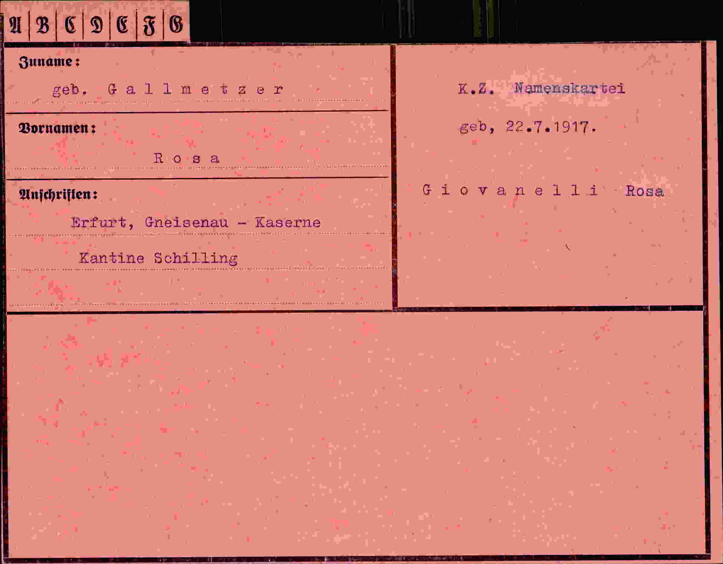 Dokument für Rosa Gallmetzer