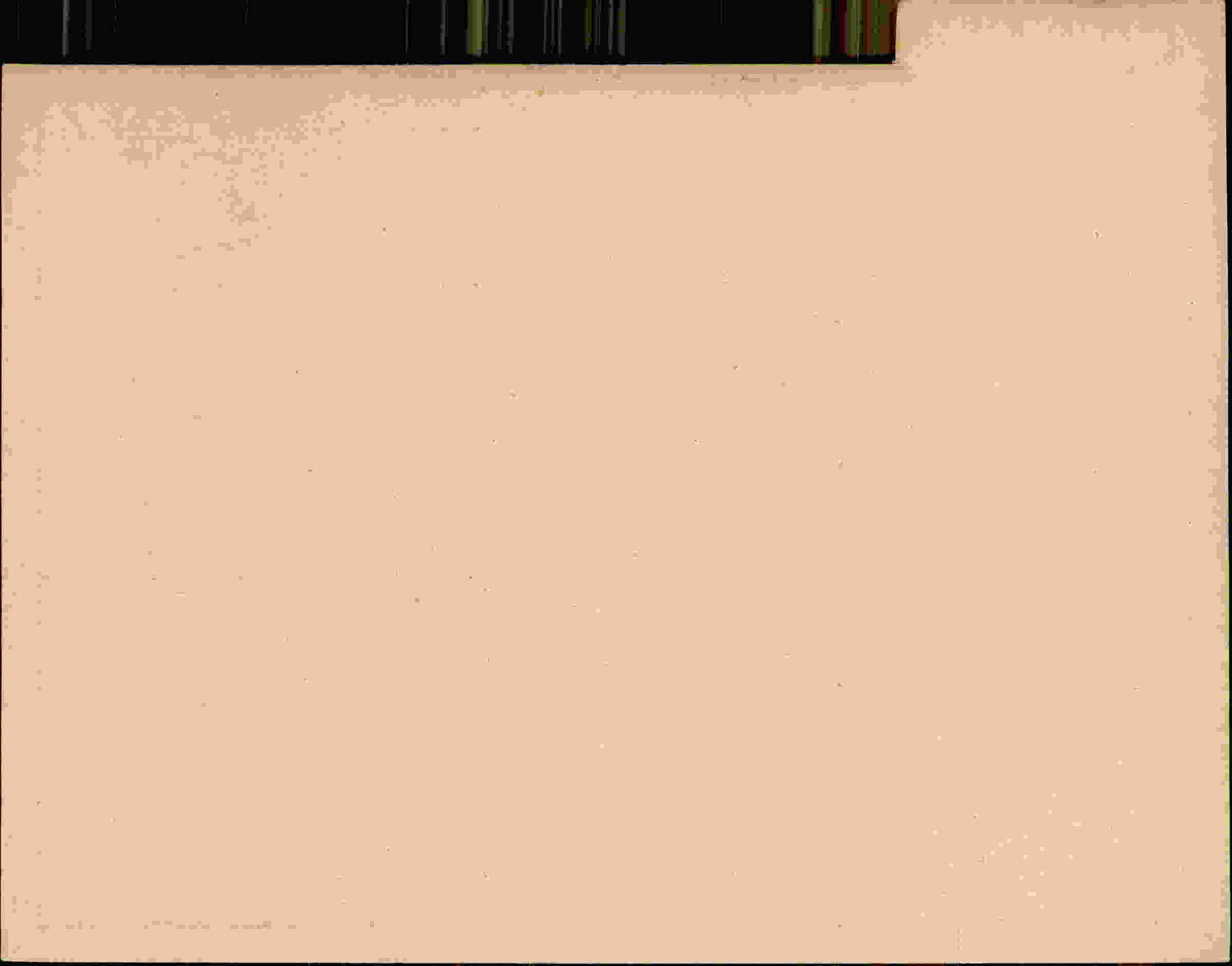 Rückseite des Dokuments