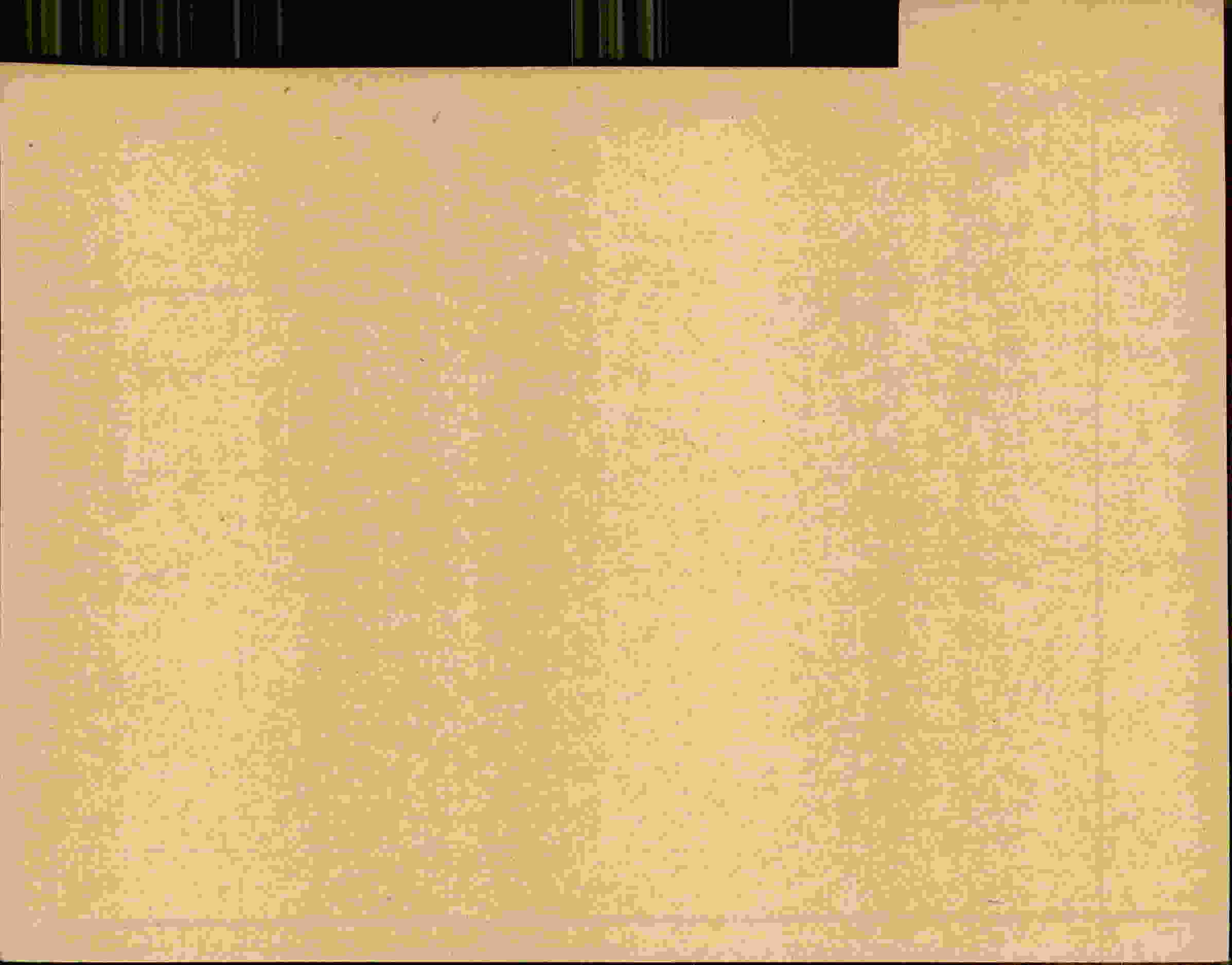 Rückseite des Dokuments