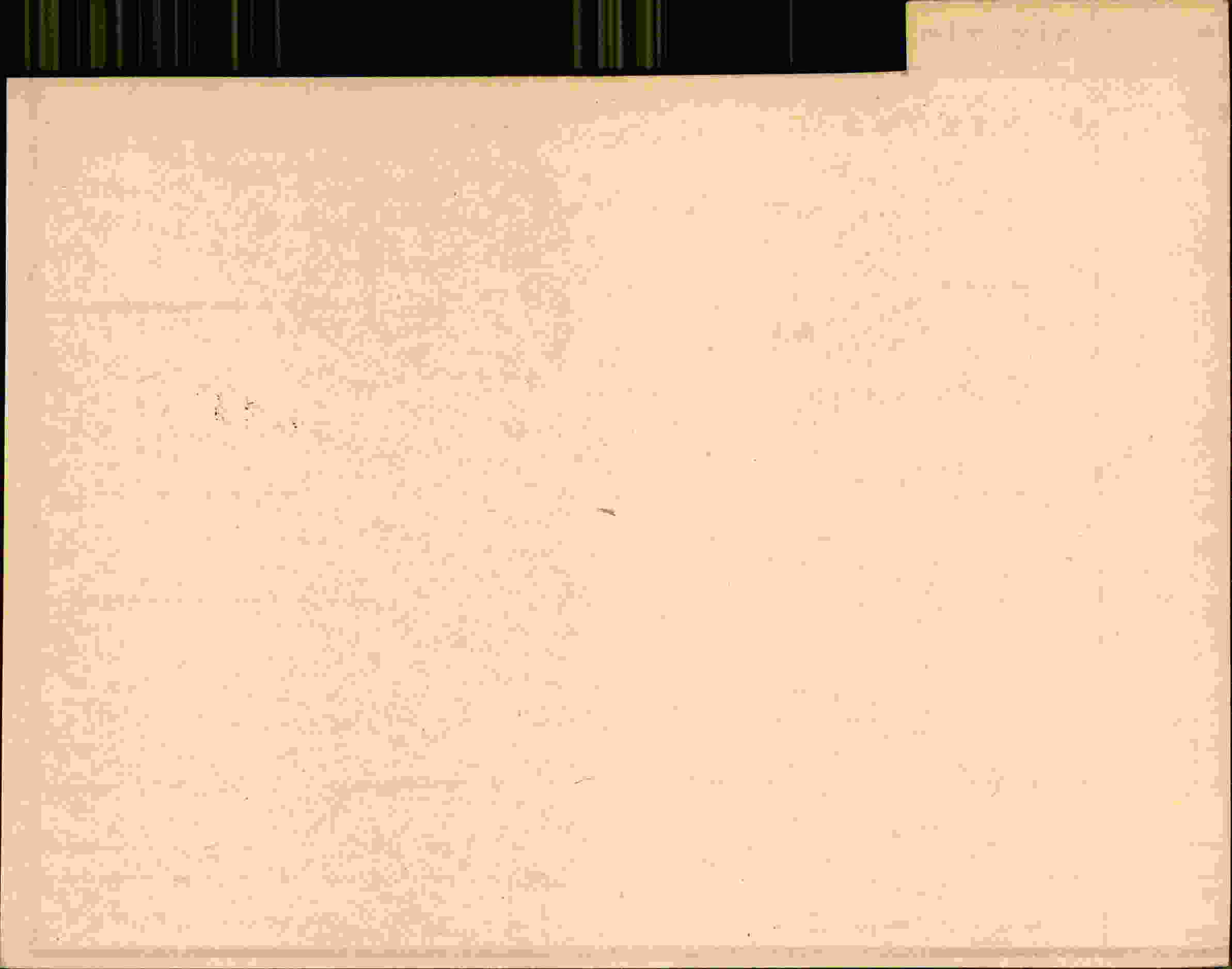 Rückseite des Dokuments