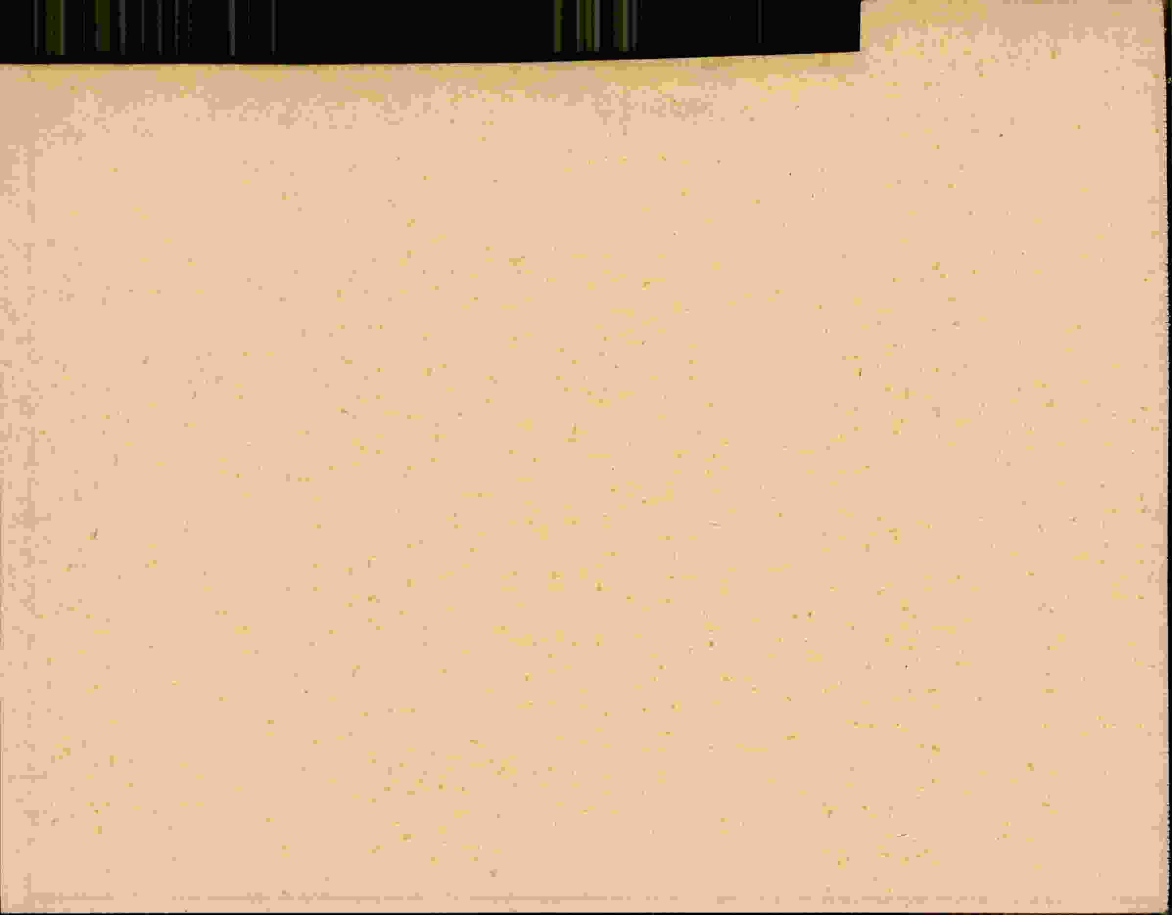 Rückseite des Dokuments