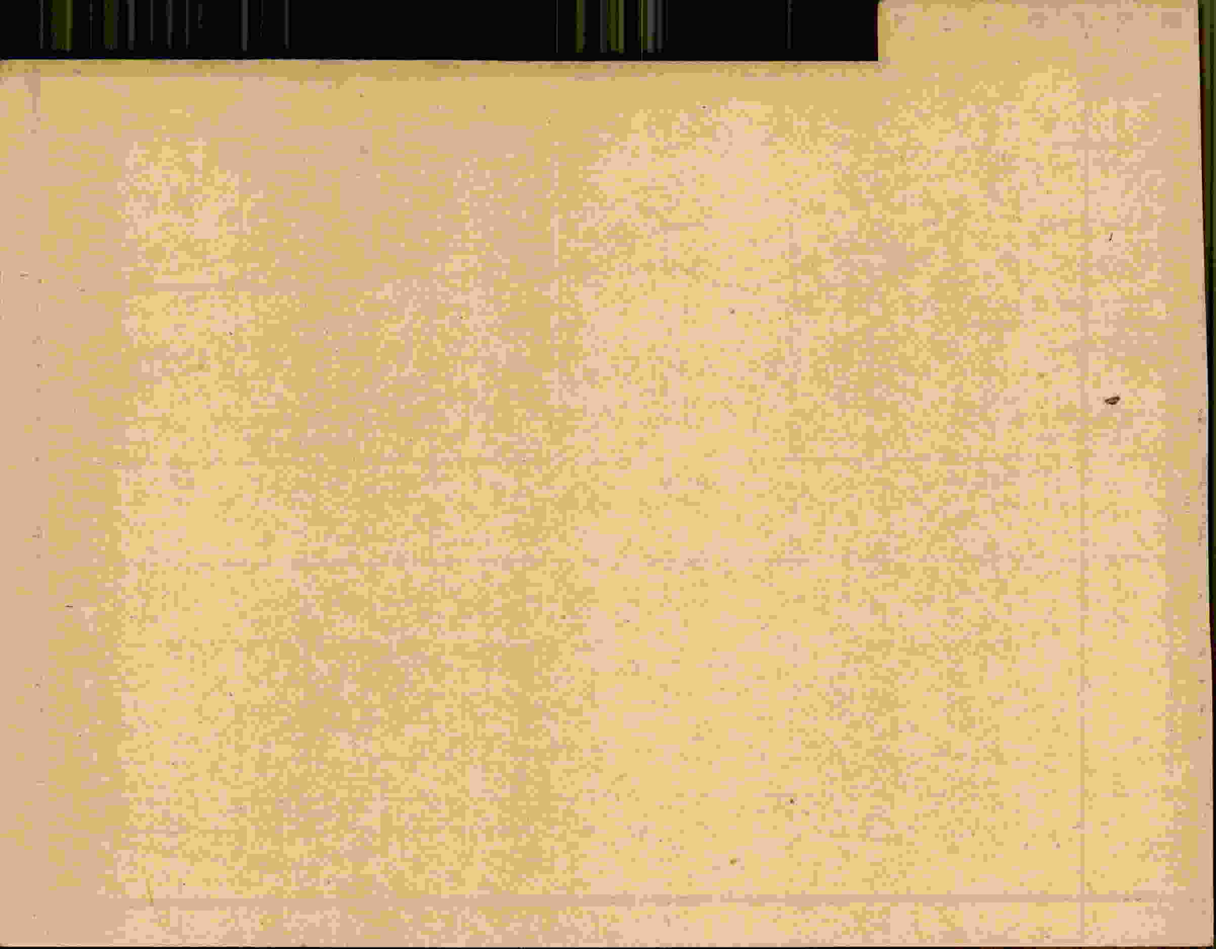 Rückseite des Dokuments