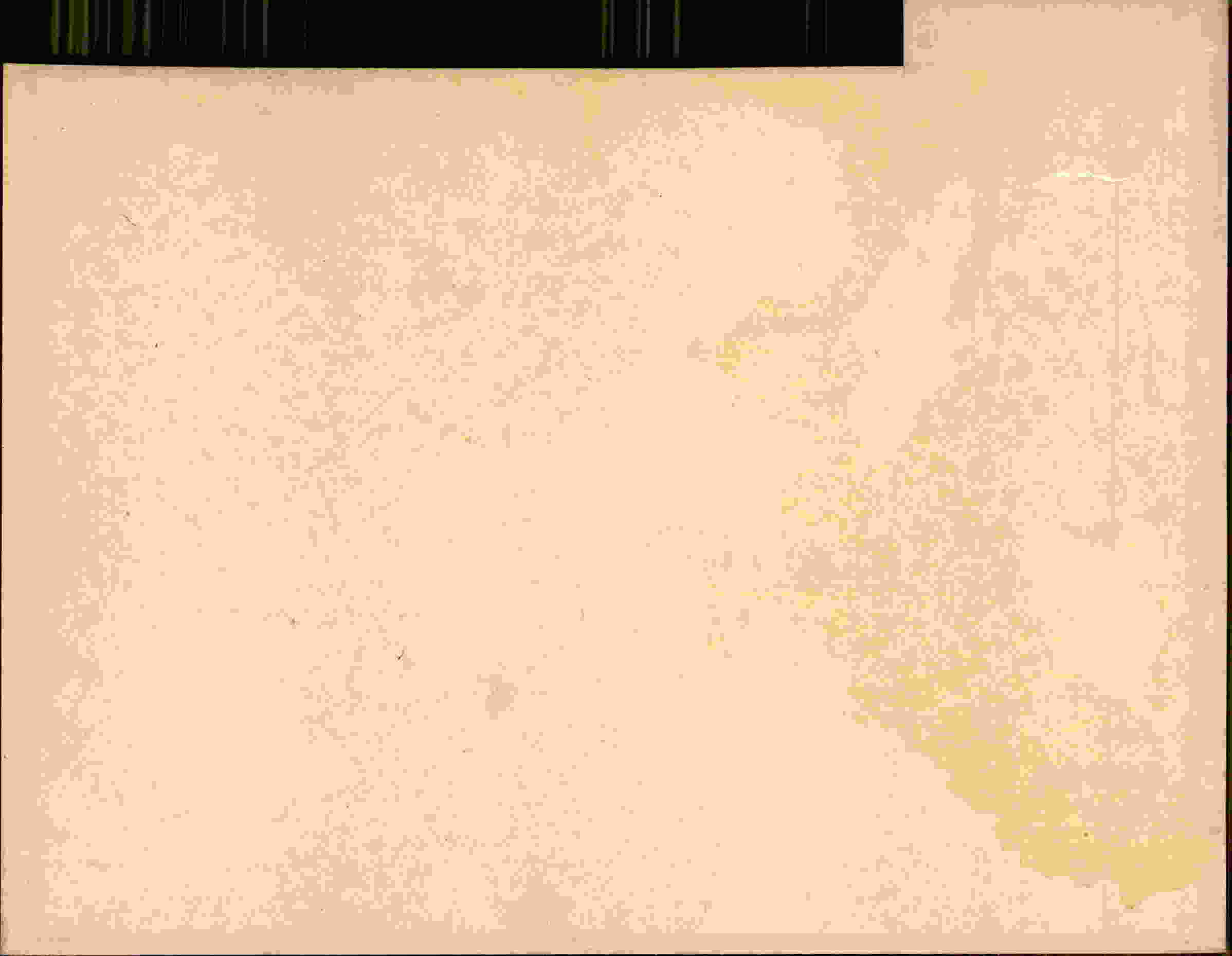 Rückseite des Dokuments