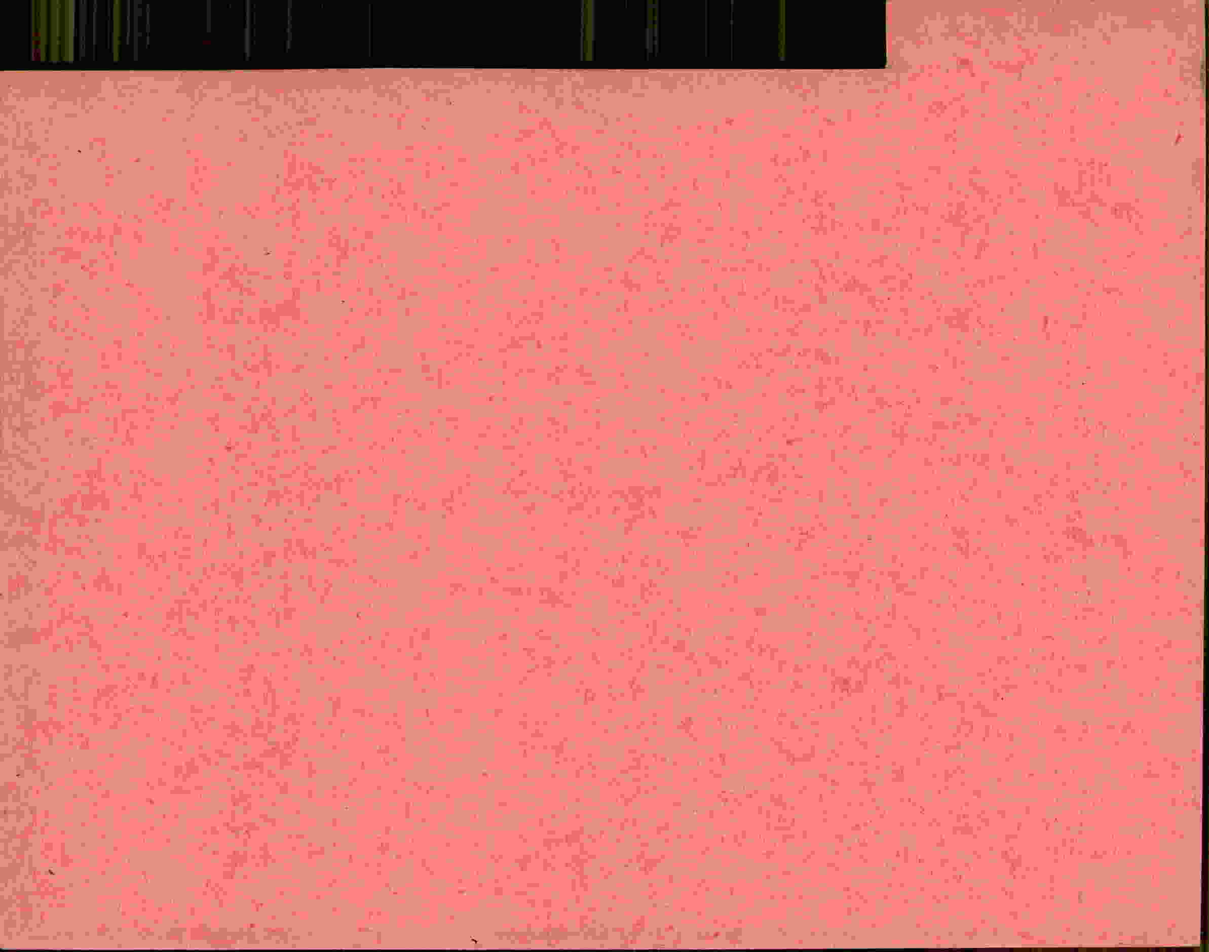 Rückseite des Dokuments