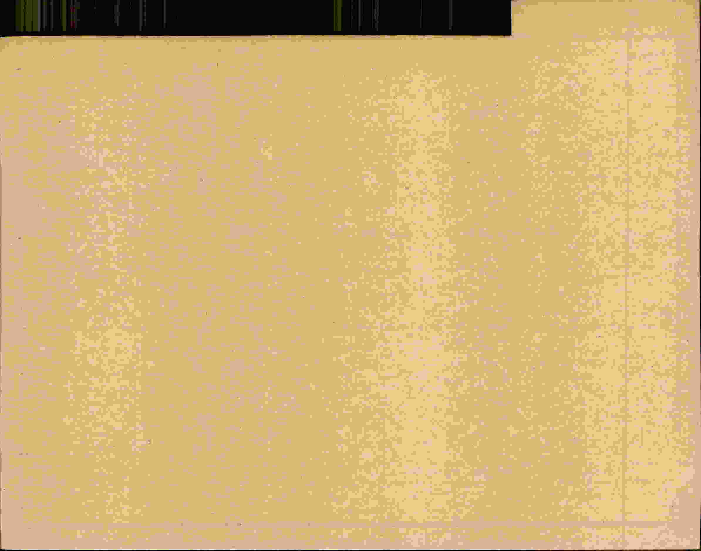 Rückseite des Dokuments