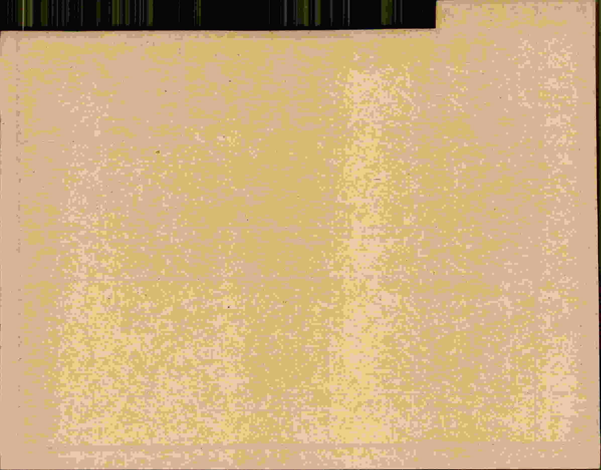 Rückseite des Dokuments