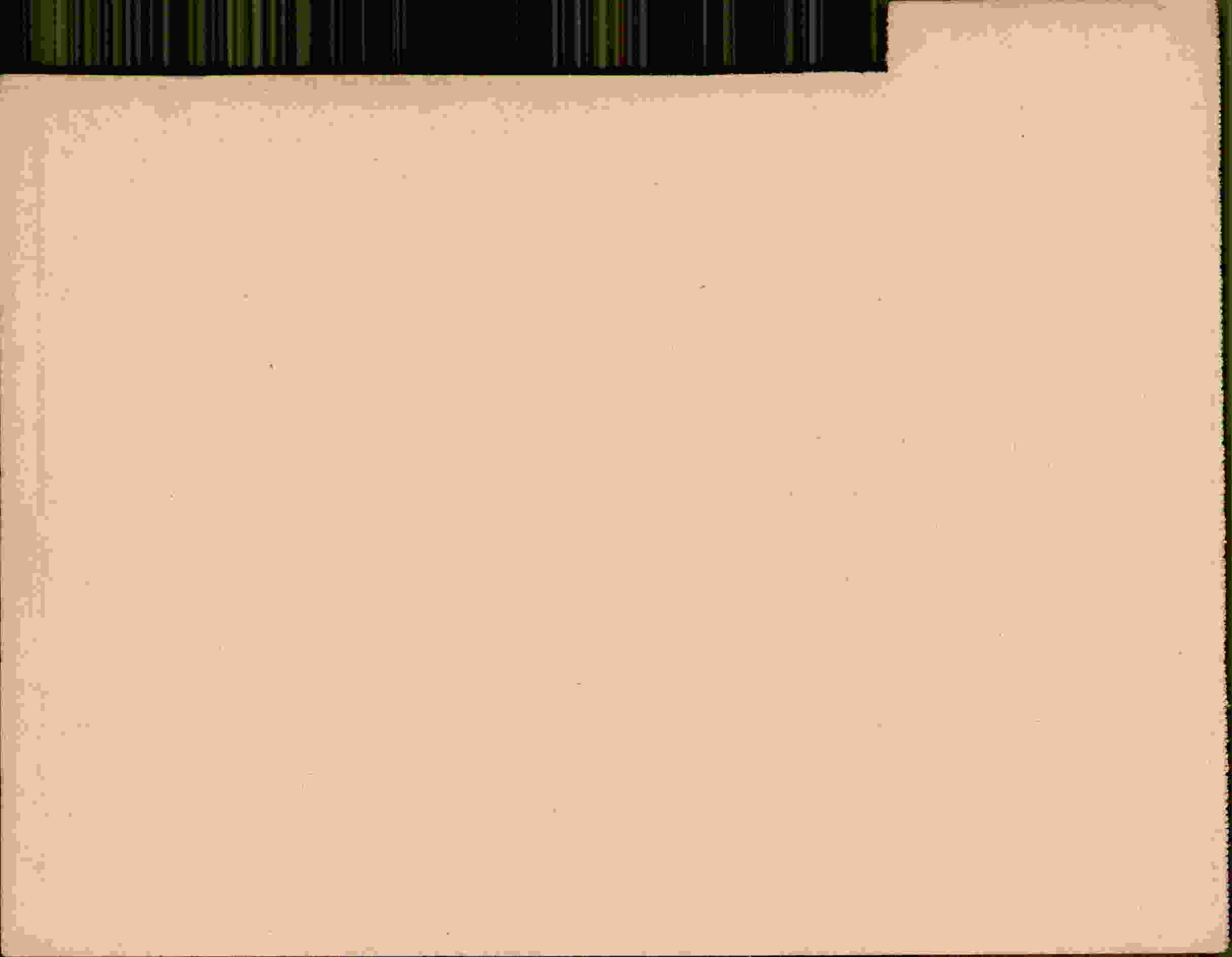 Rückseite des Dokuments