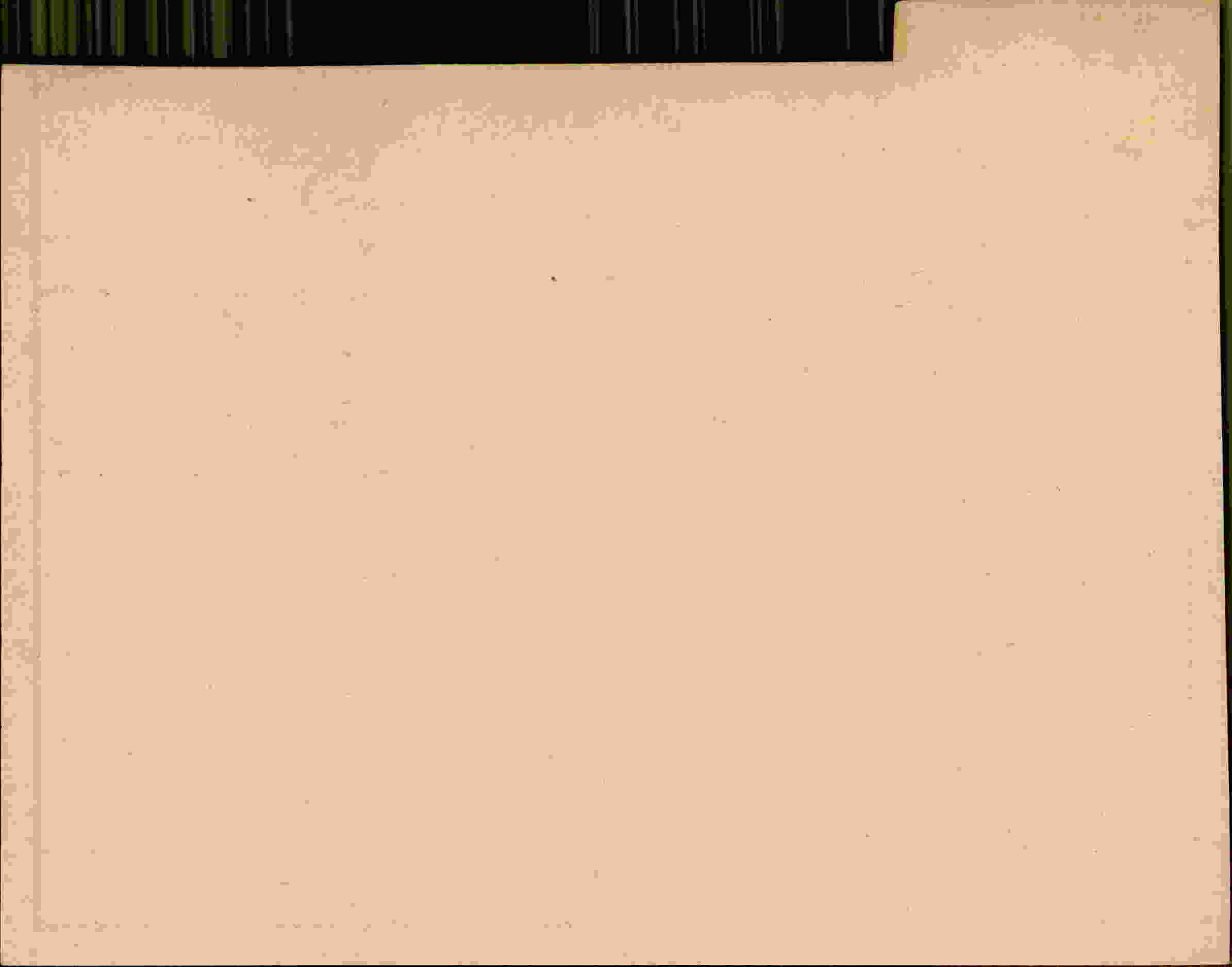 Rückseite des Dokuments