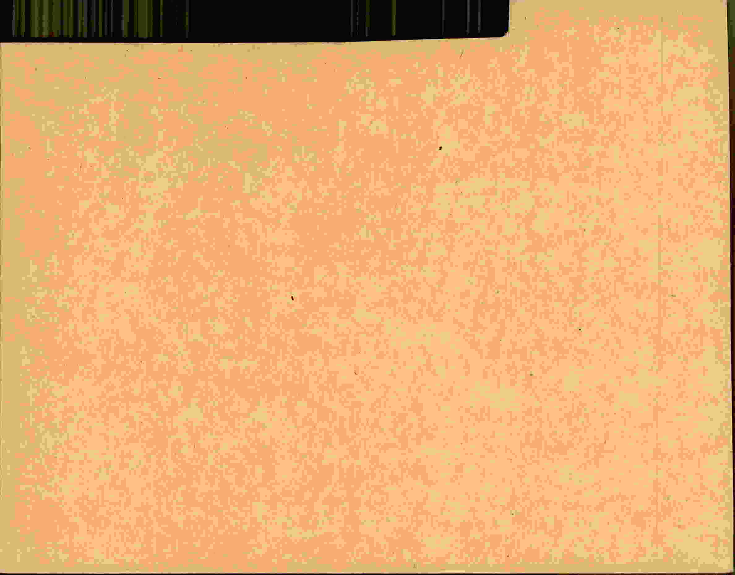 Rückseite des Dokuments