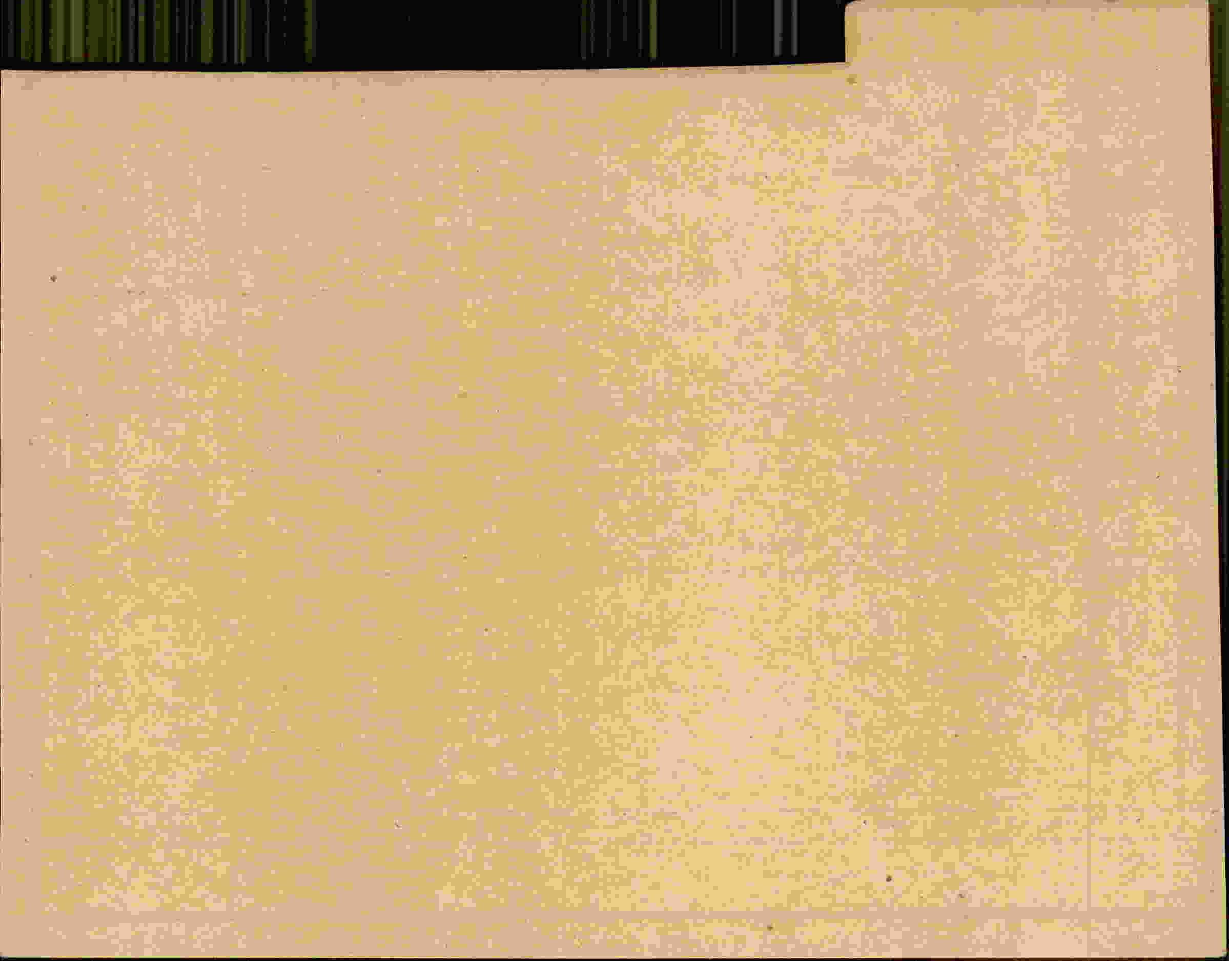 Rückseite des Dokuments