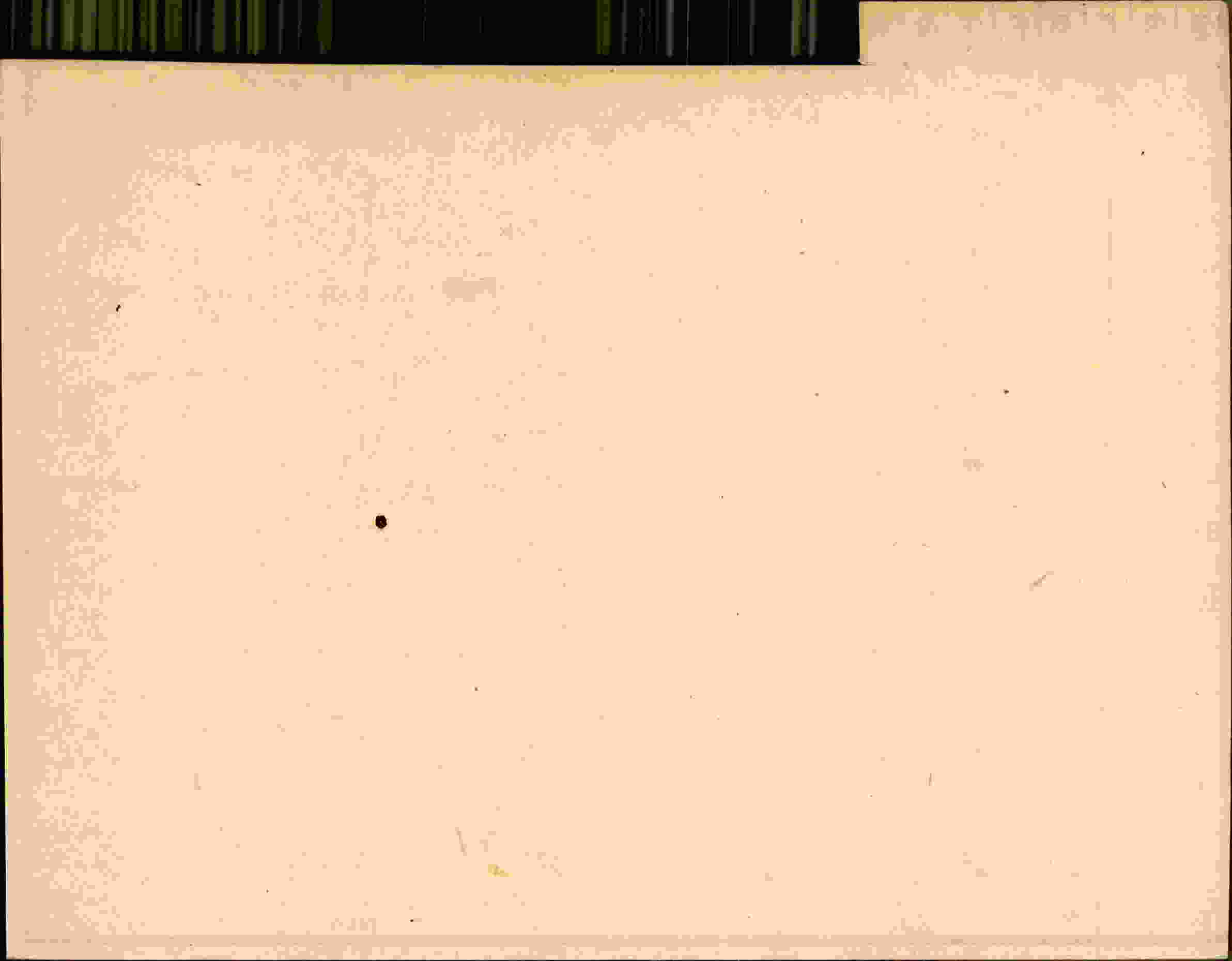 Rückseite des Dokuments