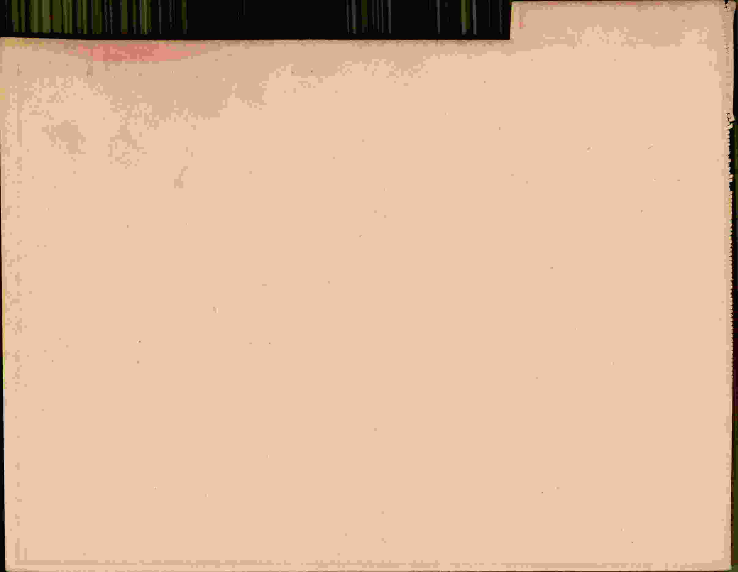 Rückseite des Dokuments