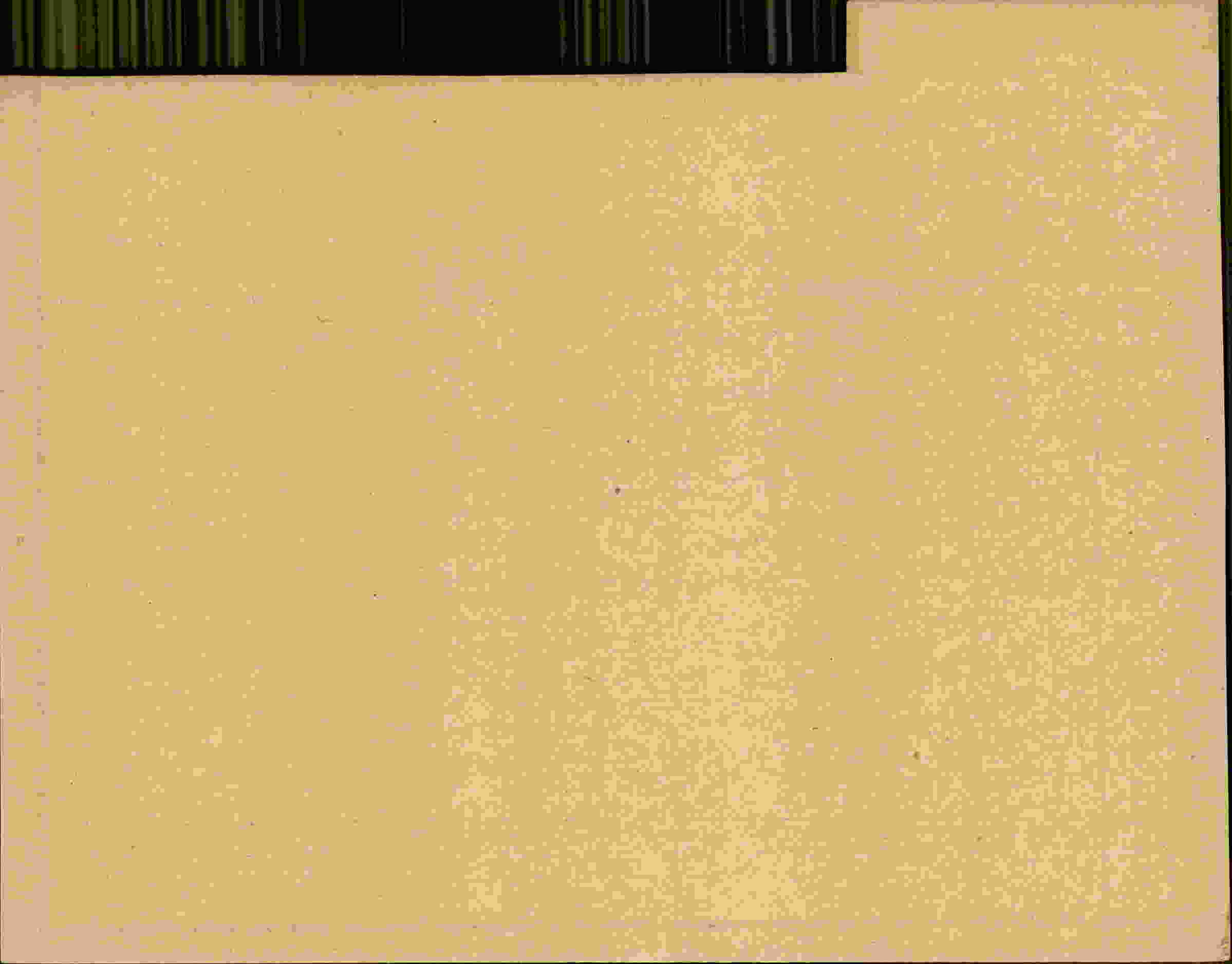 Rückseite