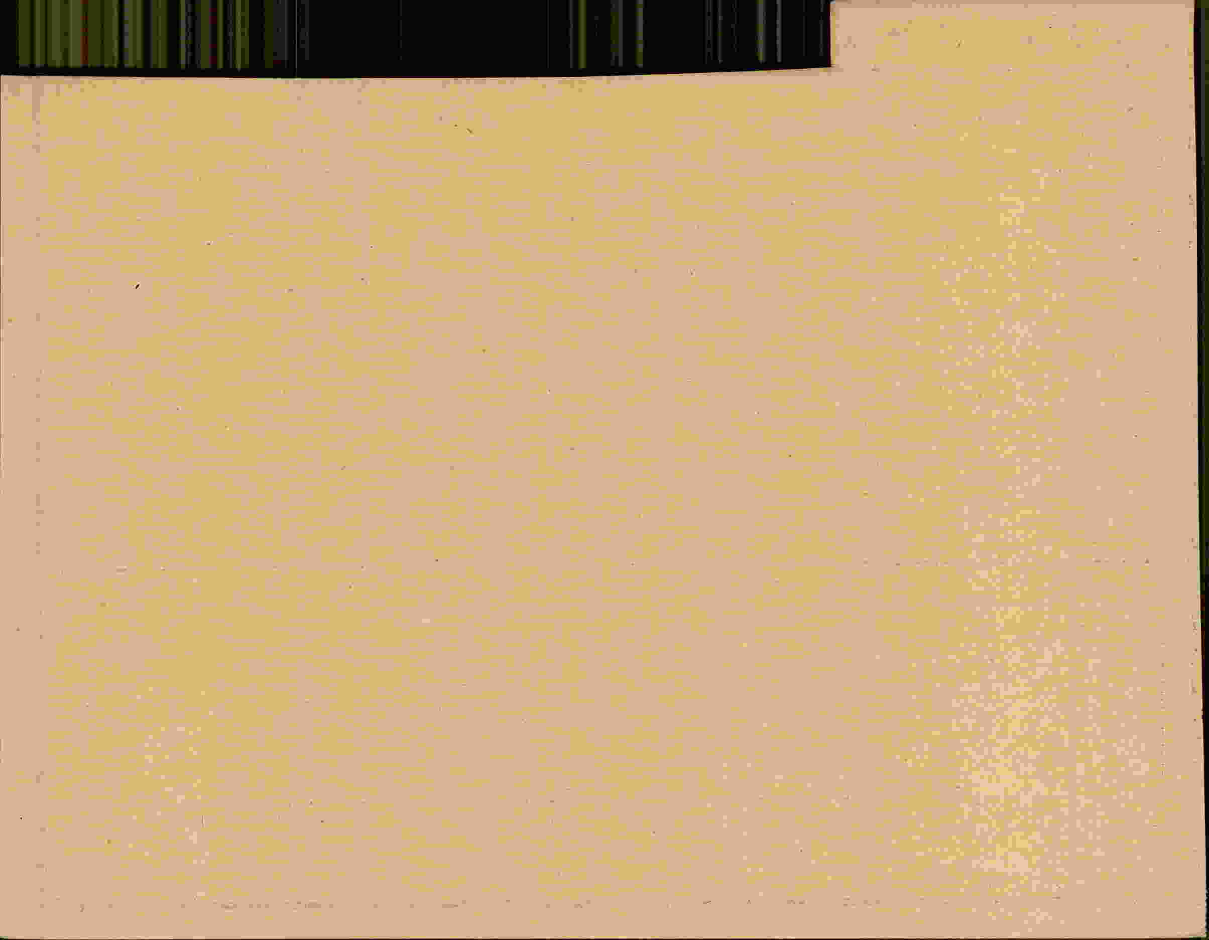 Rückseite des Dokuments