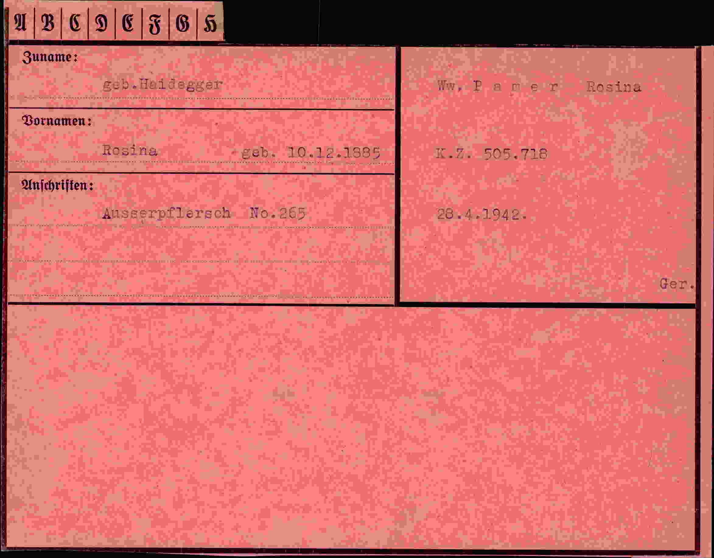 Dokument für Rosina Haidegger