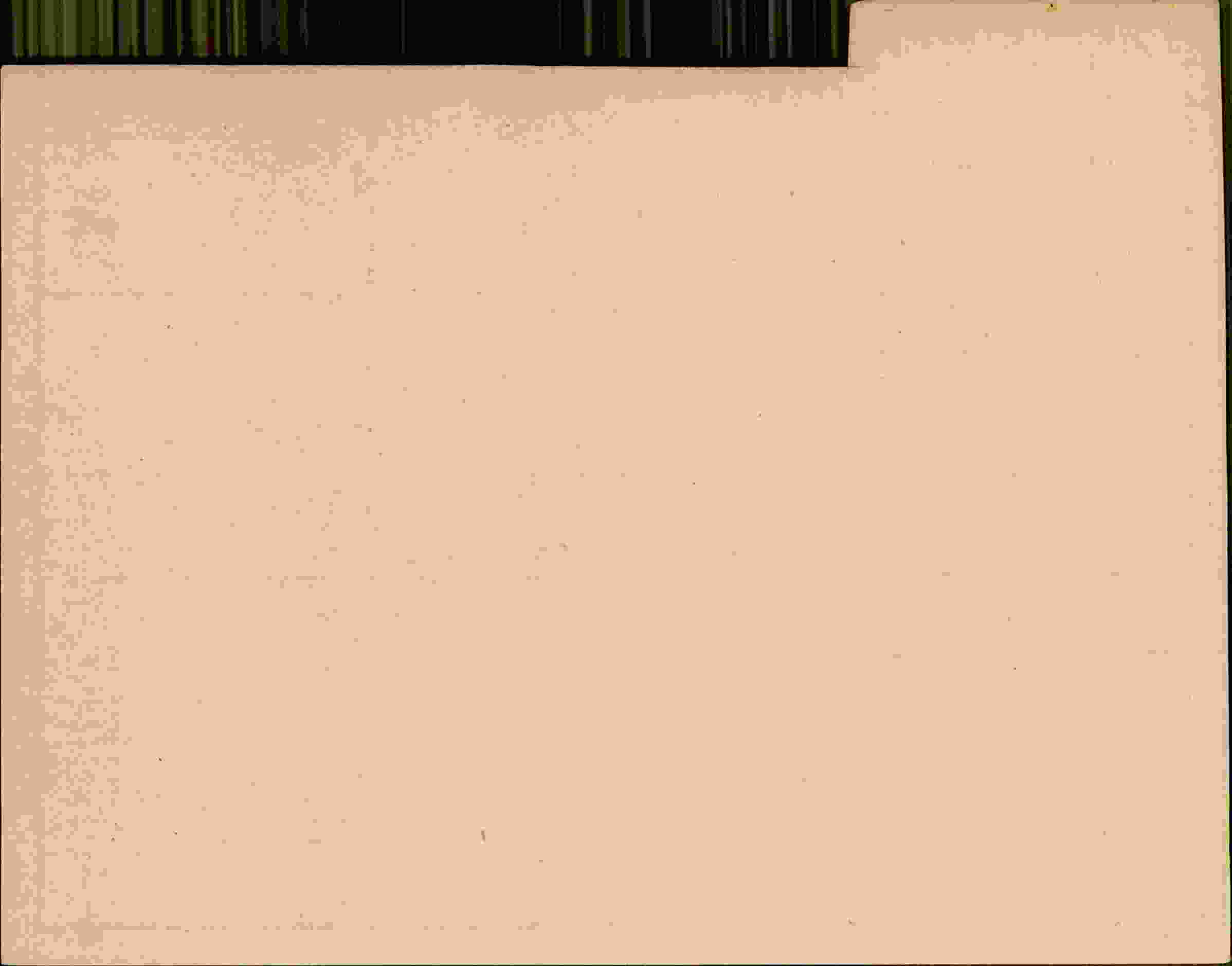 Rückseite des Dokuments