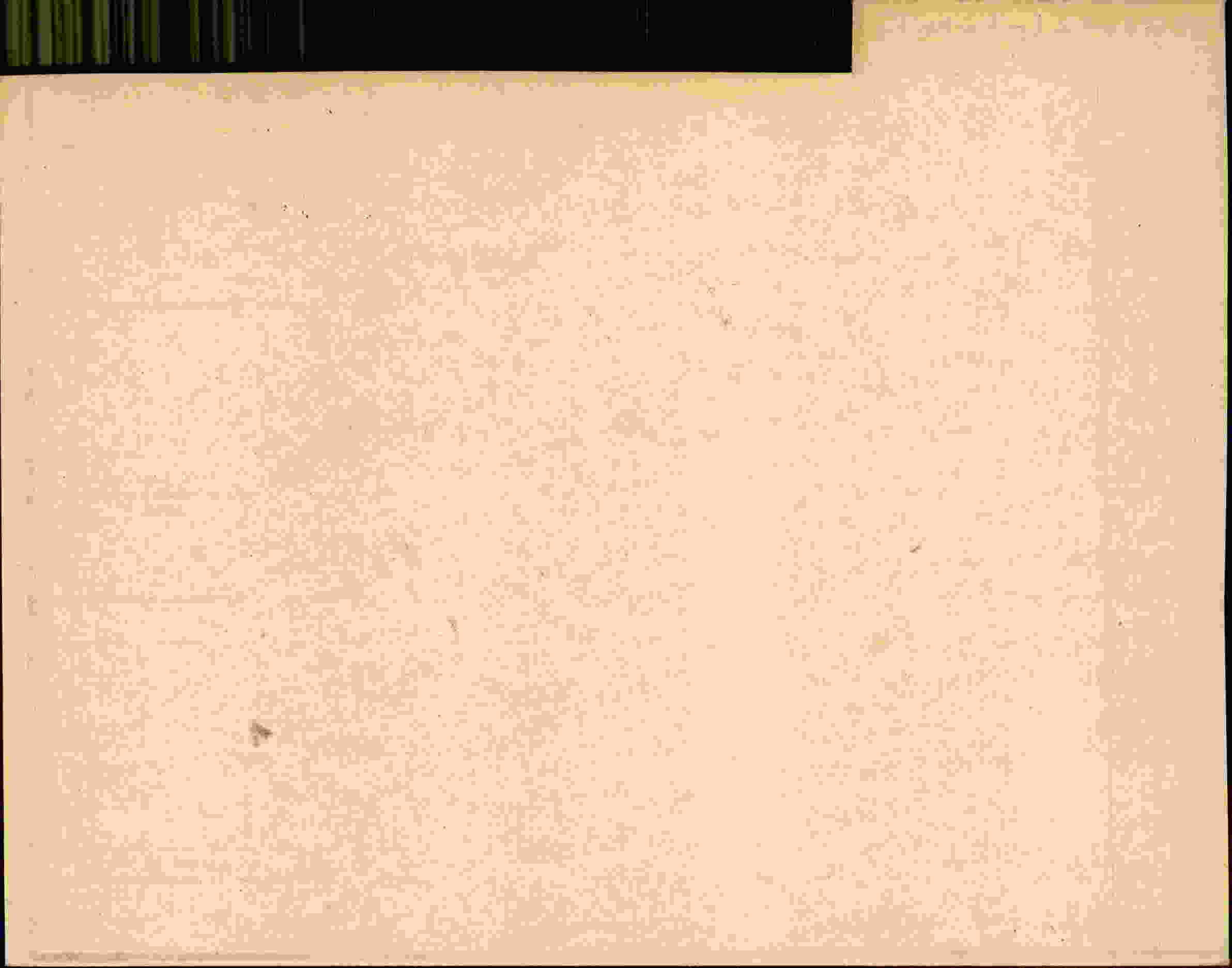 Rückseite des Dokuments