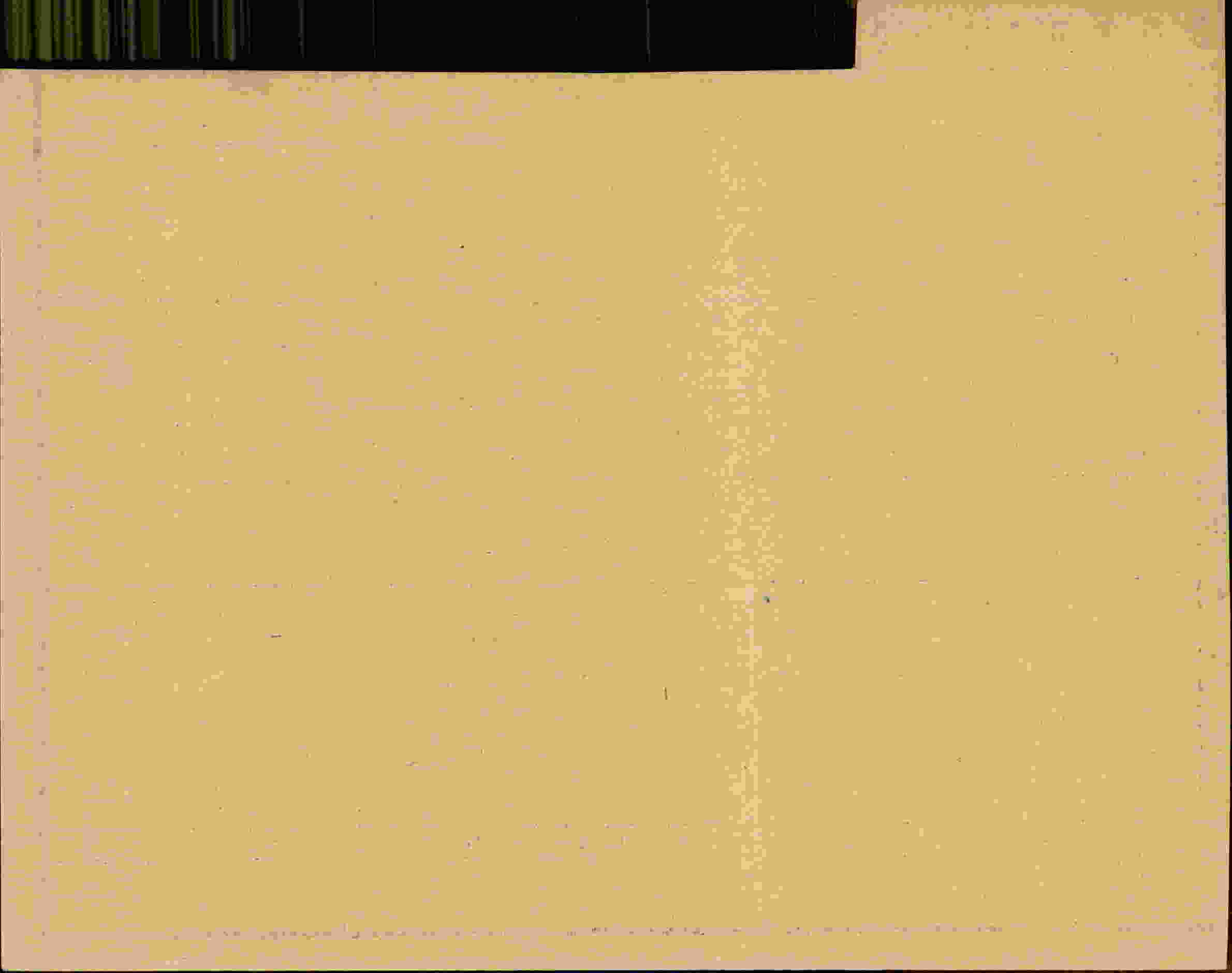 Rückseite des Dokuments