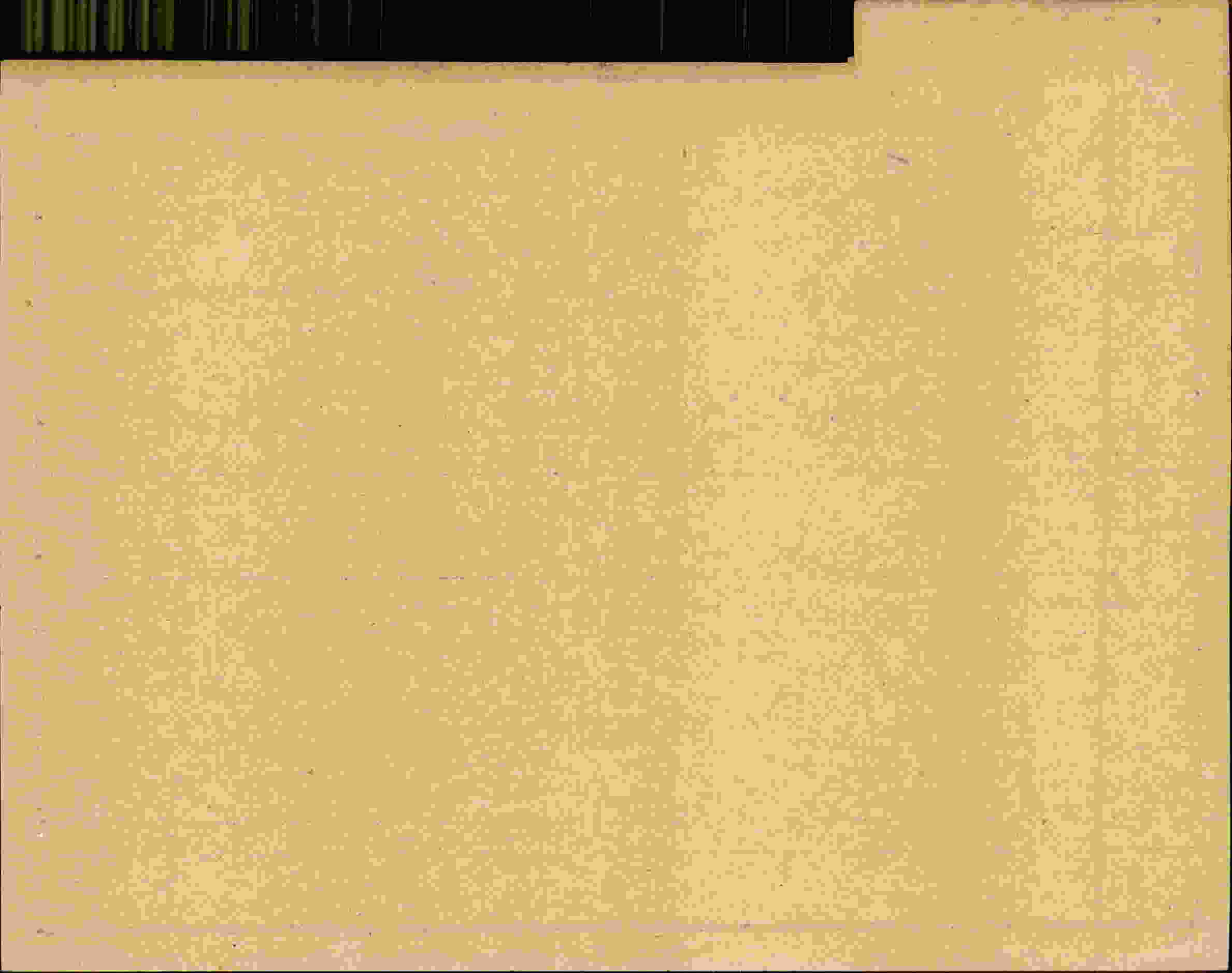 Rückseite des Dokuments