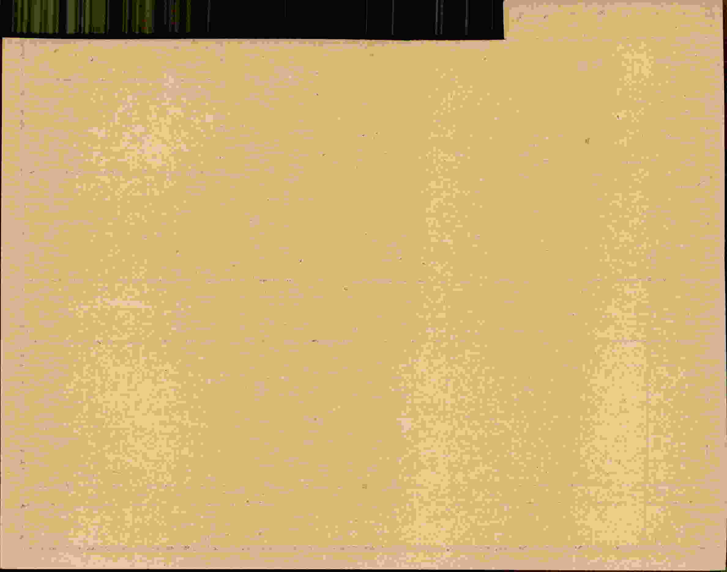 Rückseite des Dokuments
