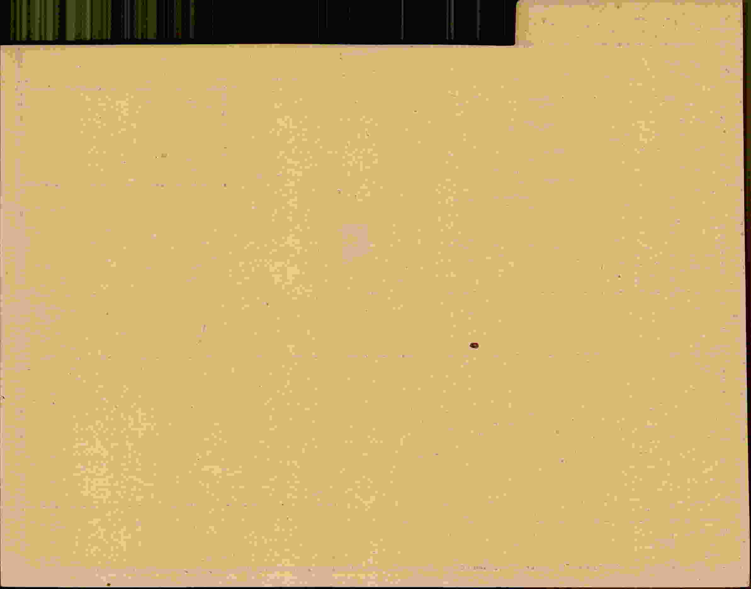Rückseite des Dokuments