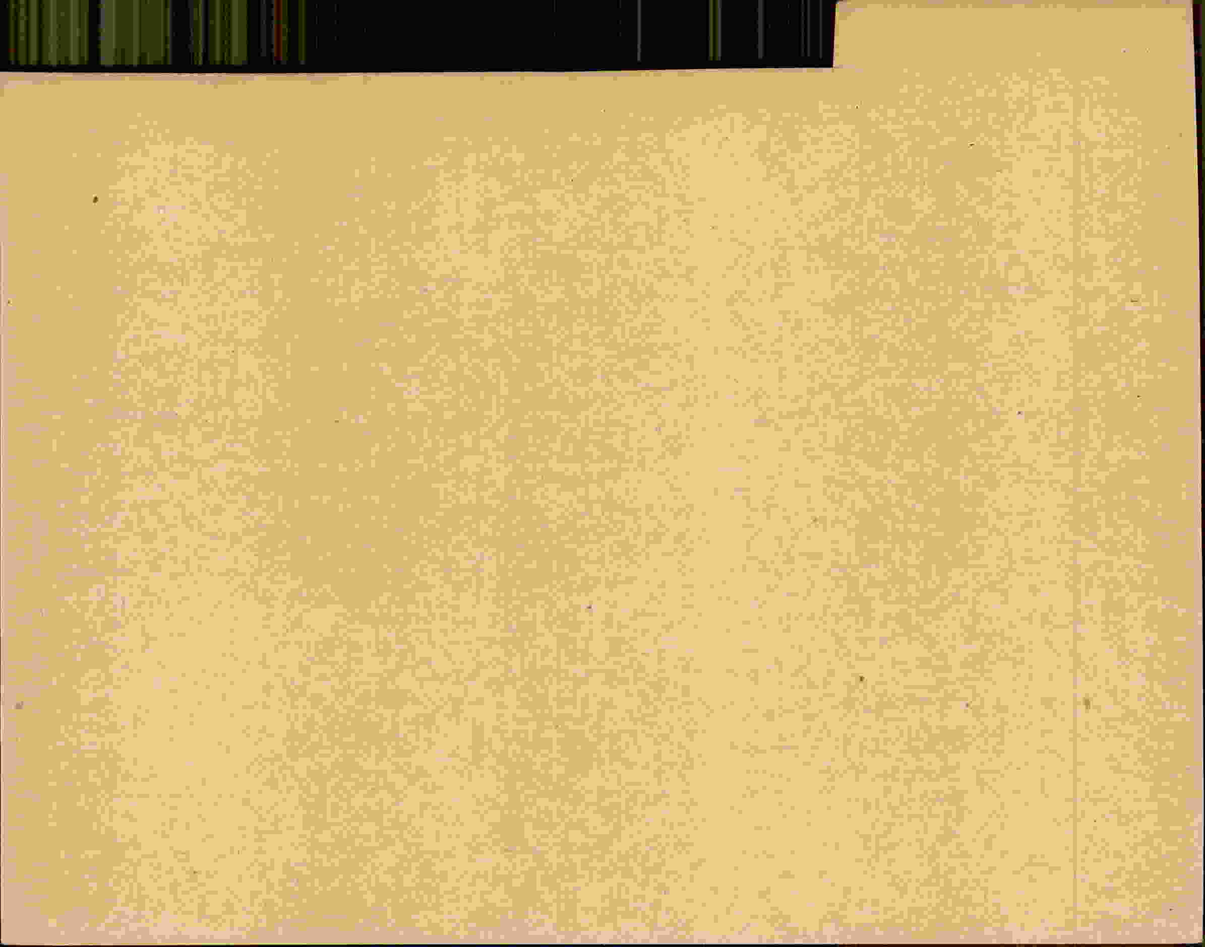 Rückseite des Dokuments