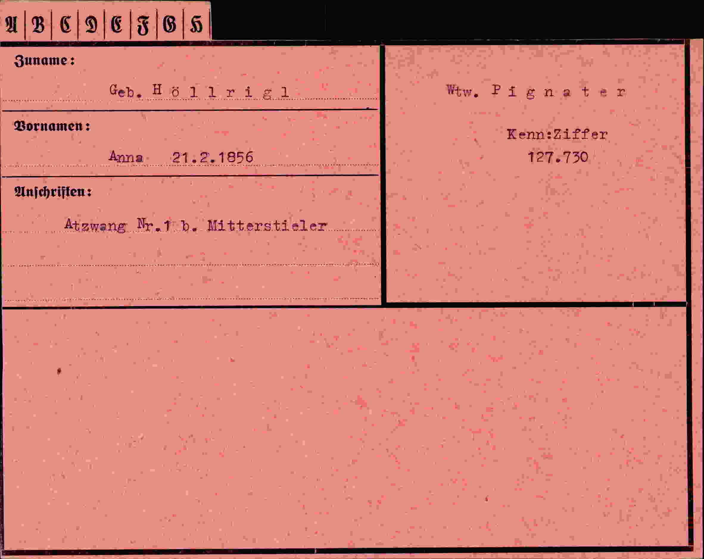 Dokument für Anna Höllrigl