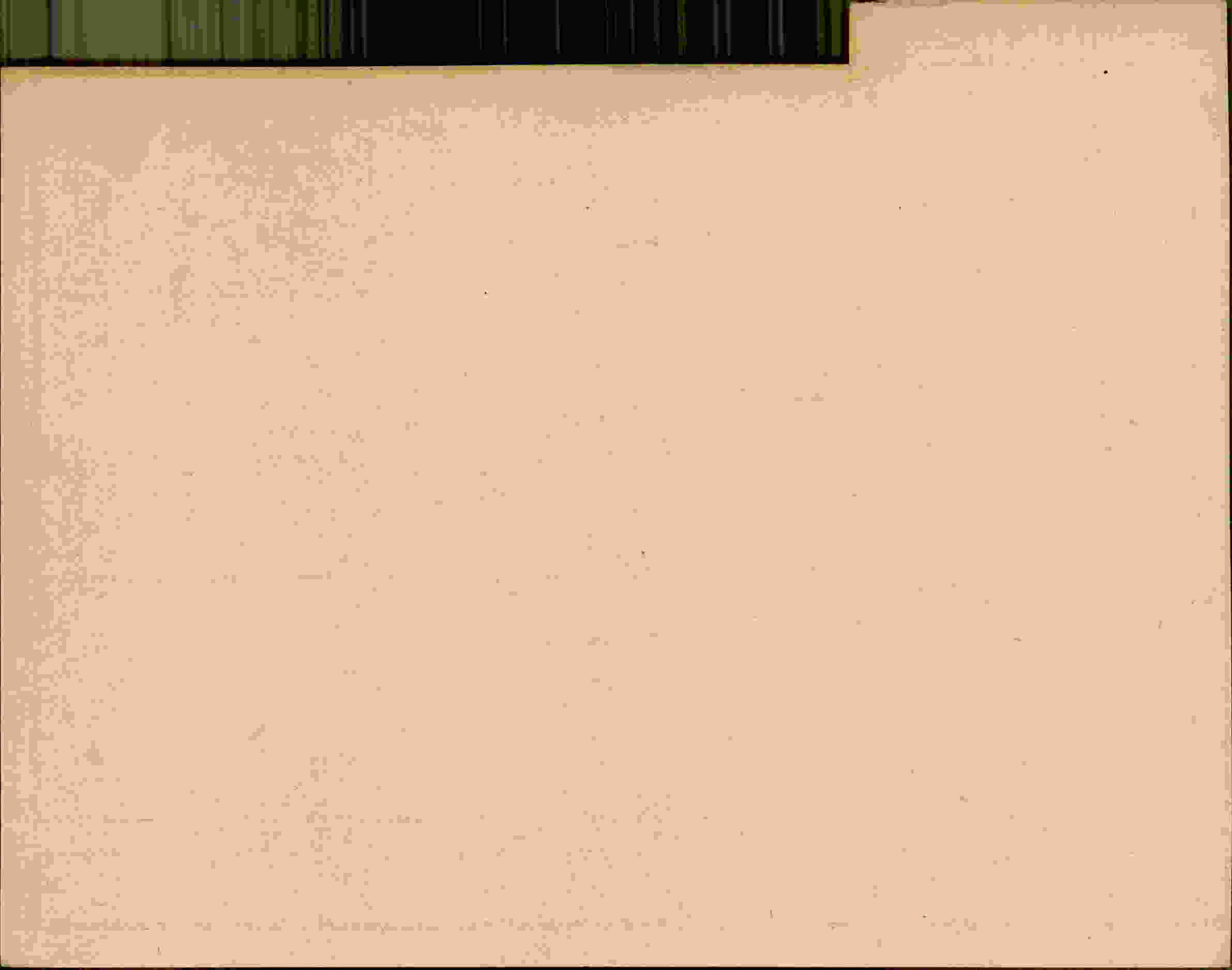 Rückseite des Dokuments