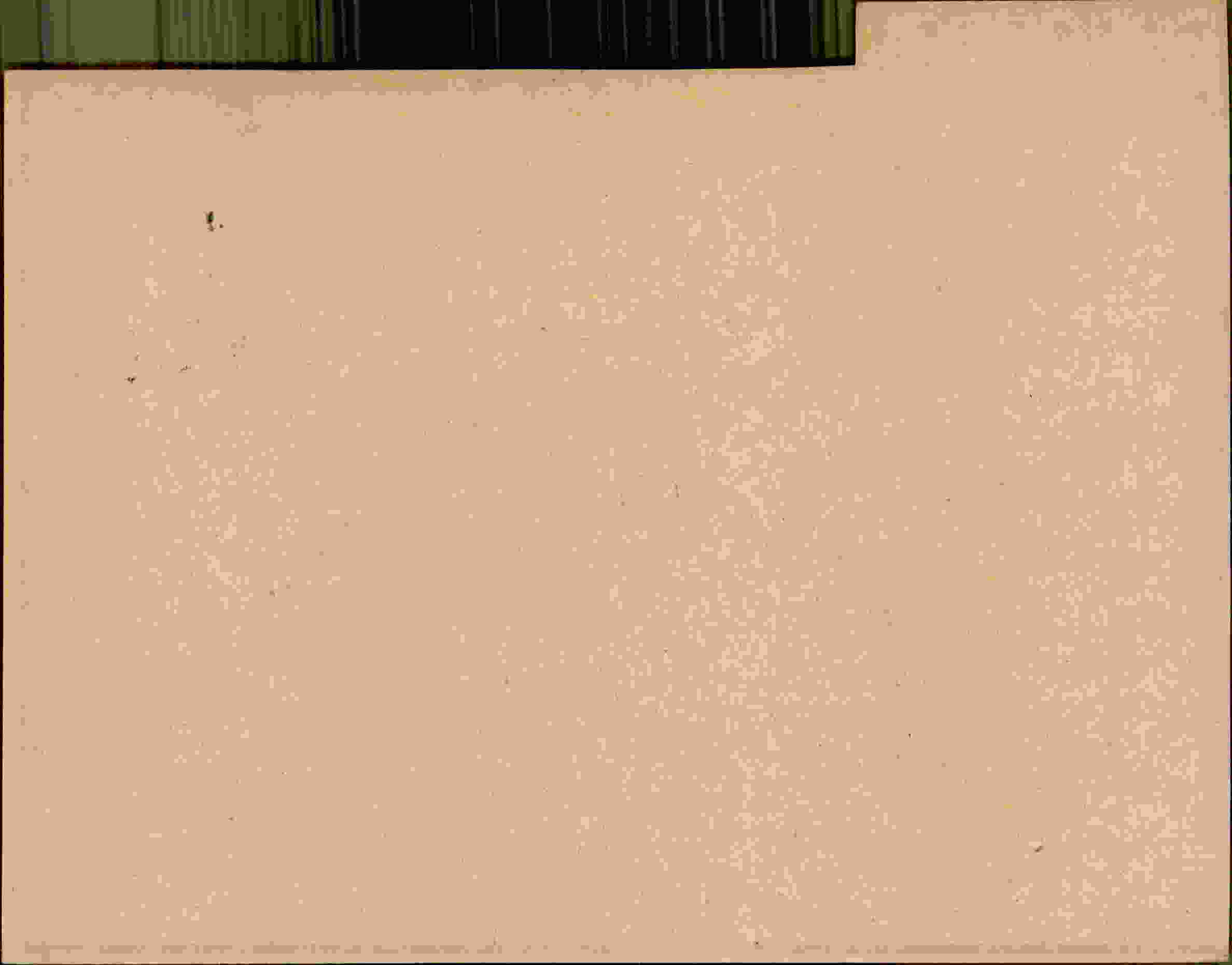 Rückseite des Dokuments