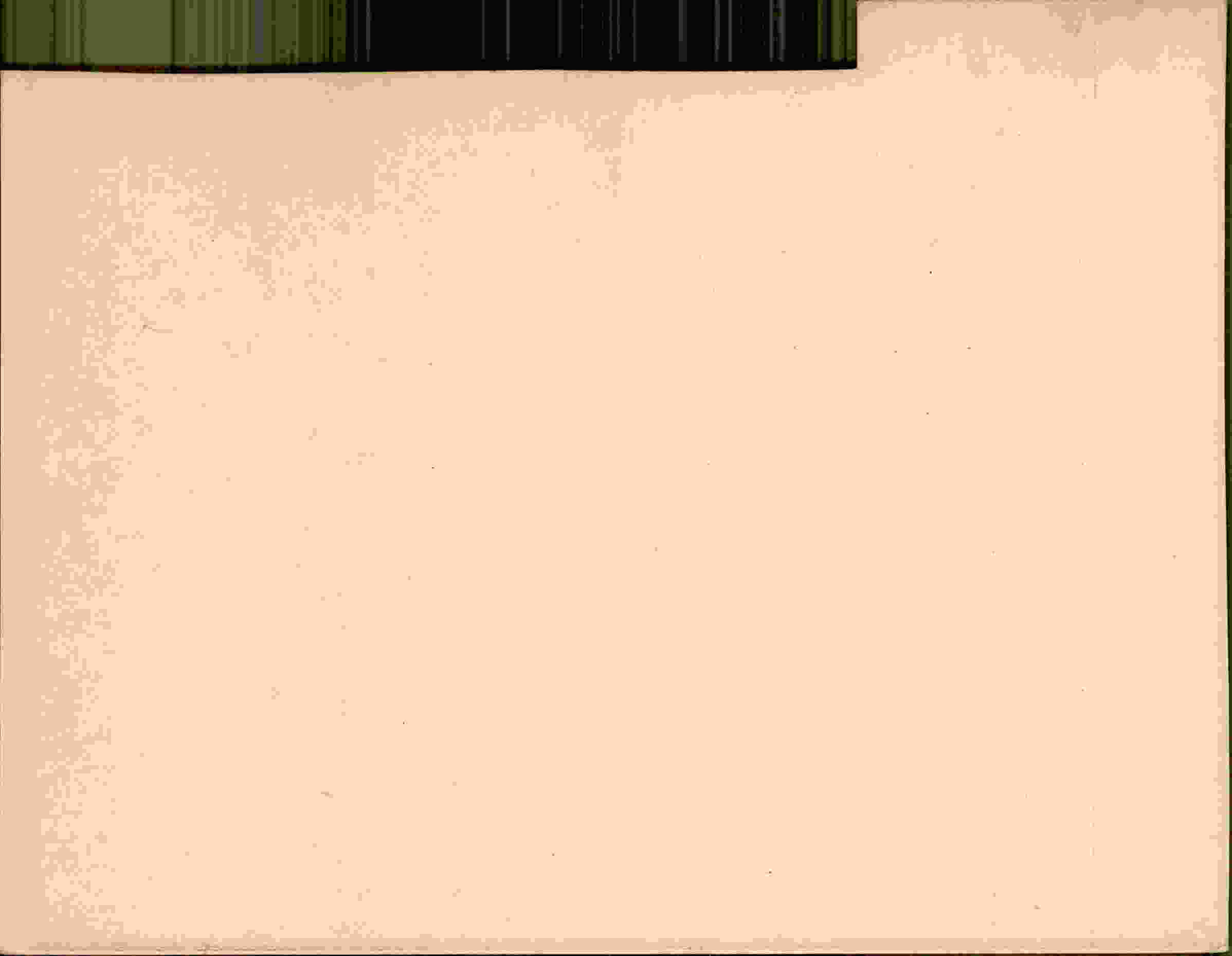 Rückseite des Dokuments