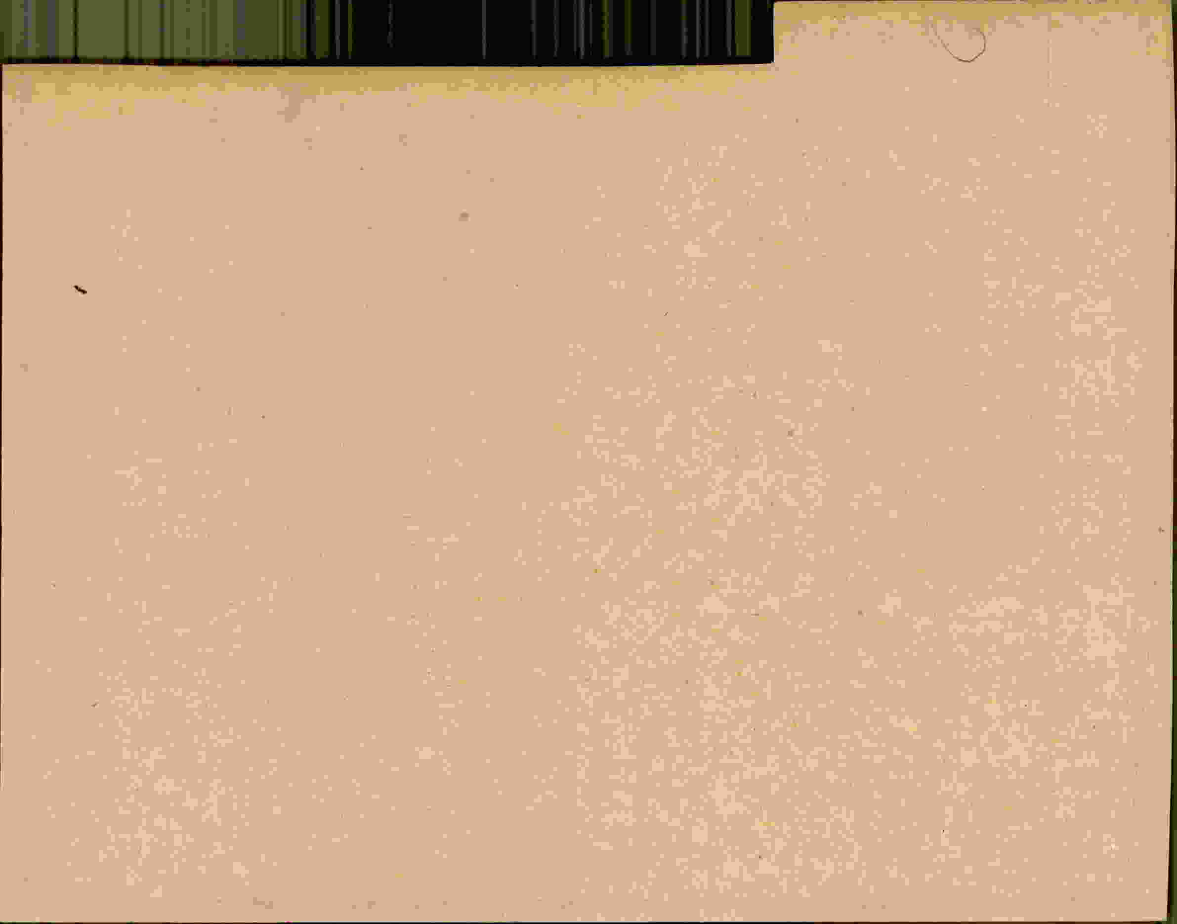 Rückseite des Dokuments