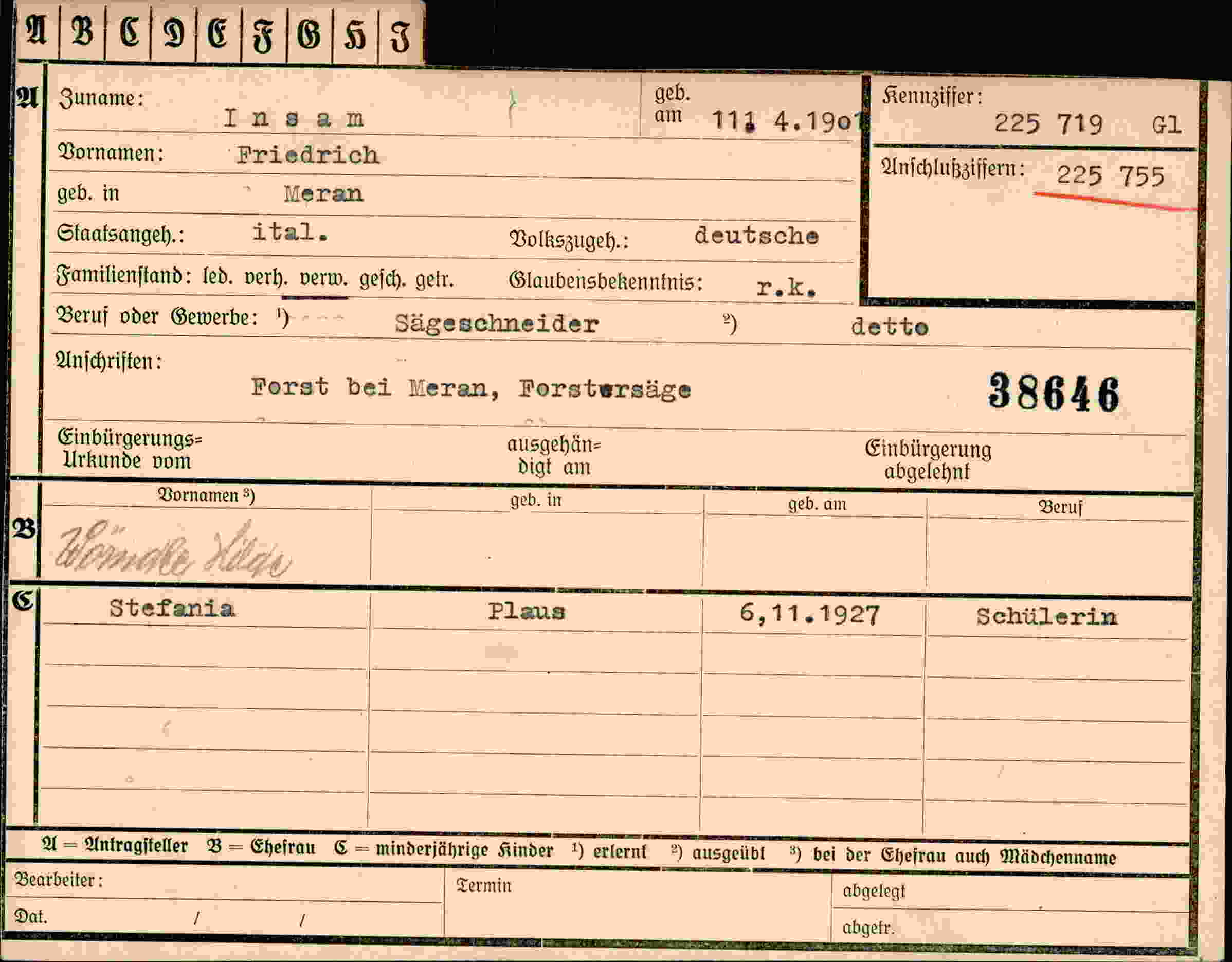 Dokument für Friedrich Insam