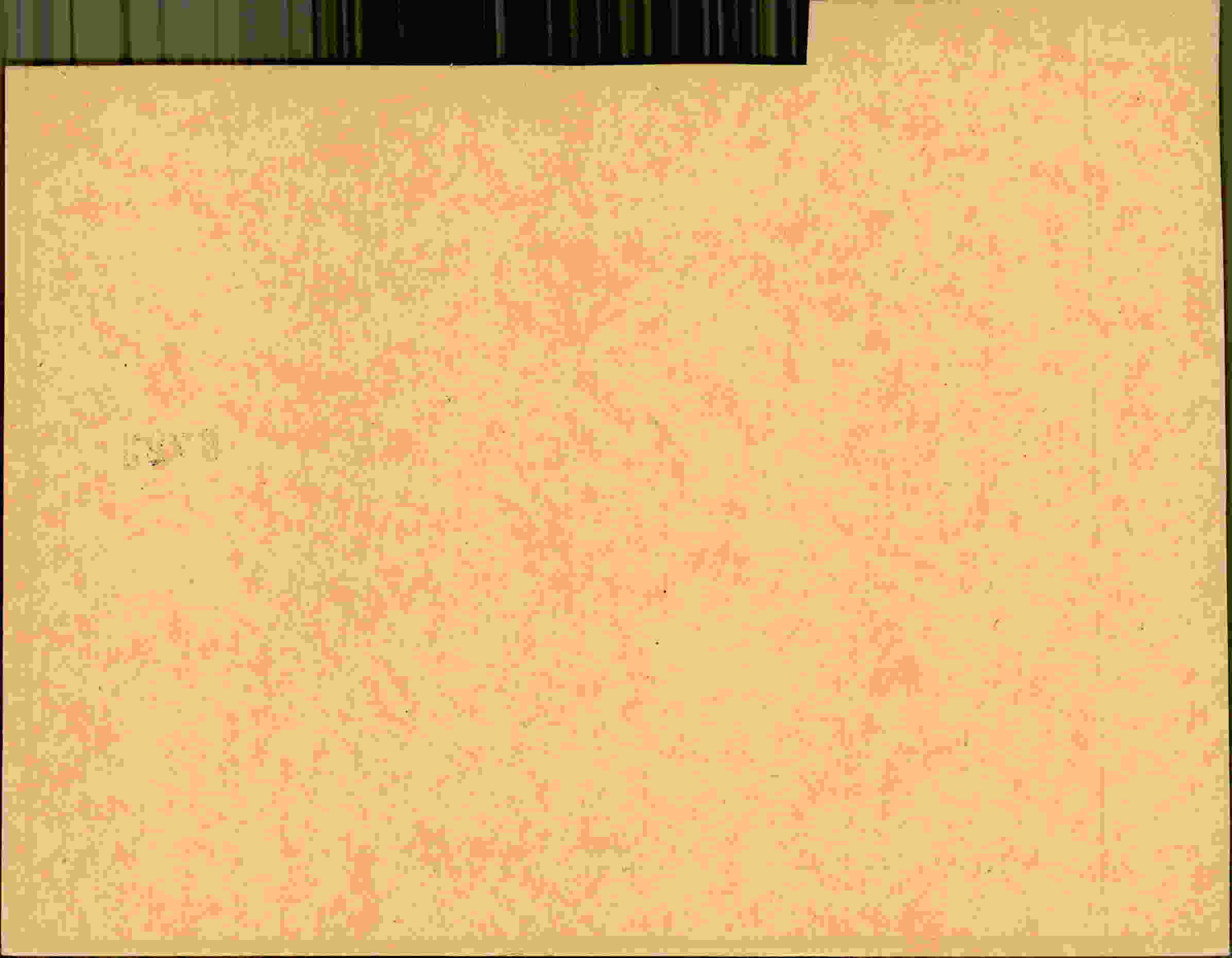 Rückseite des Dokuments