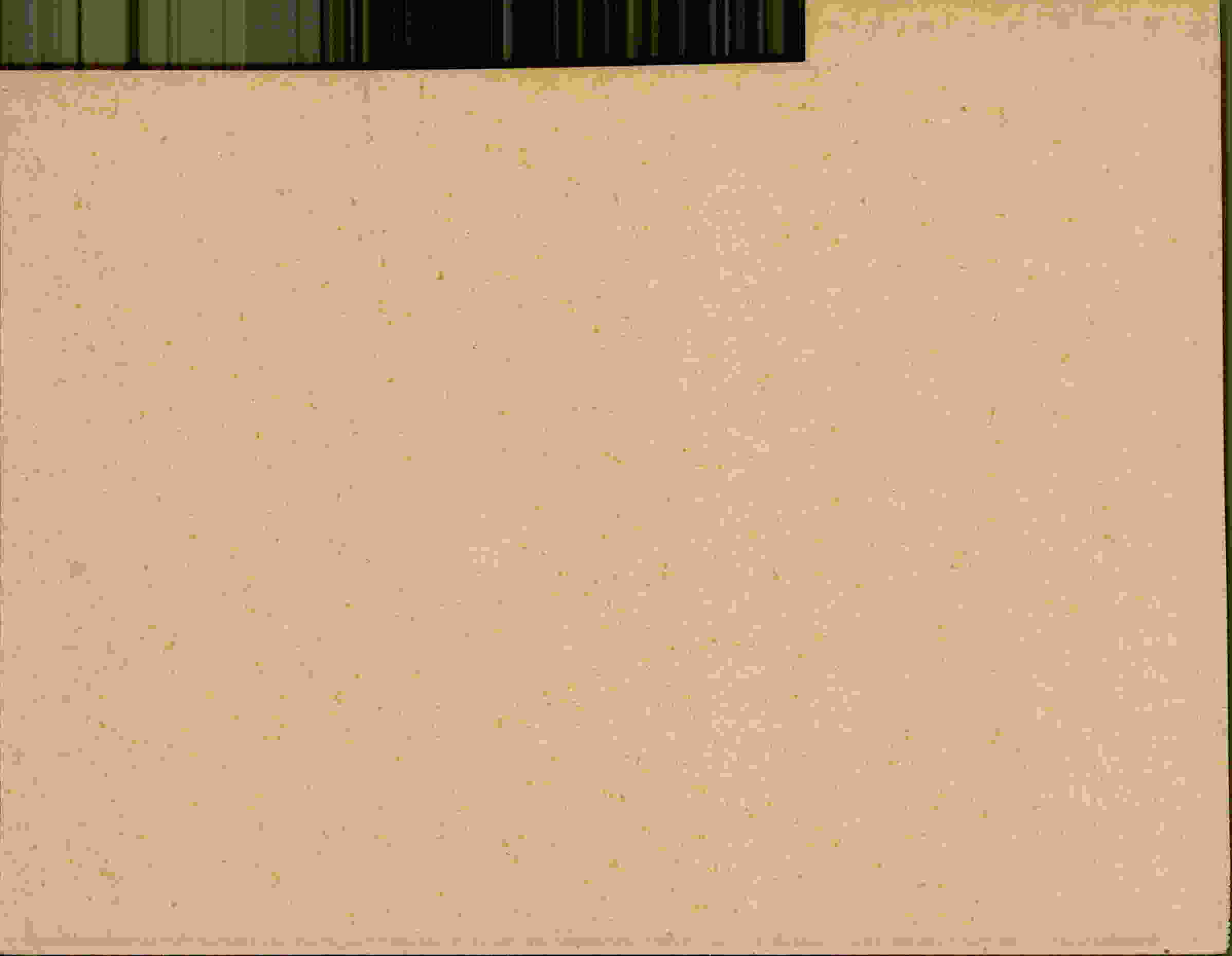 Rückseite des Dokuments