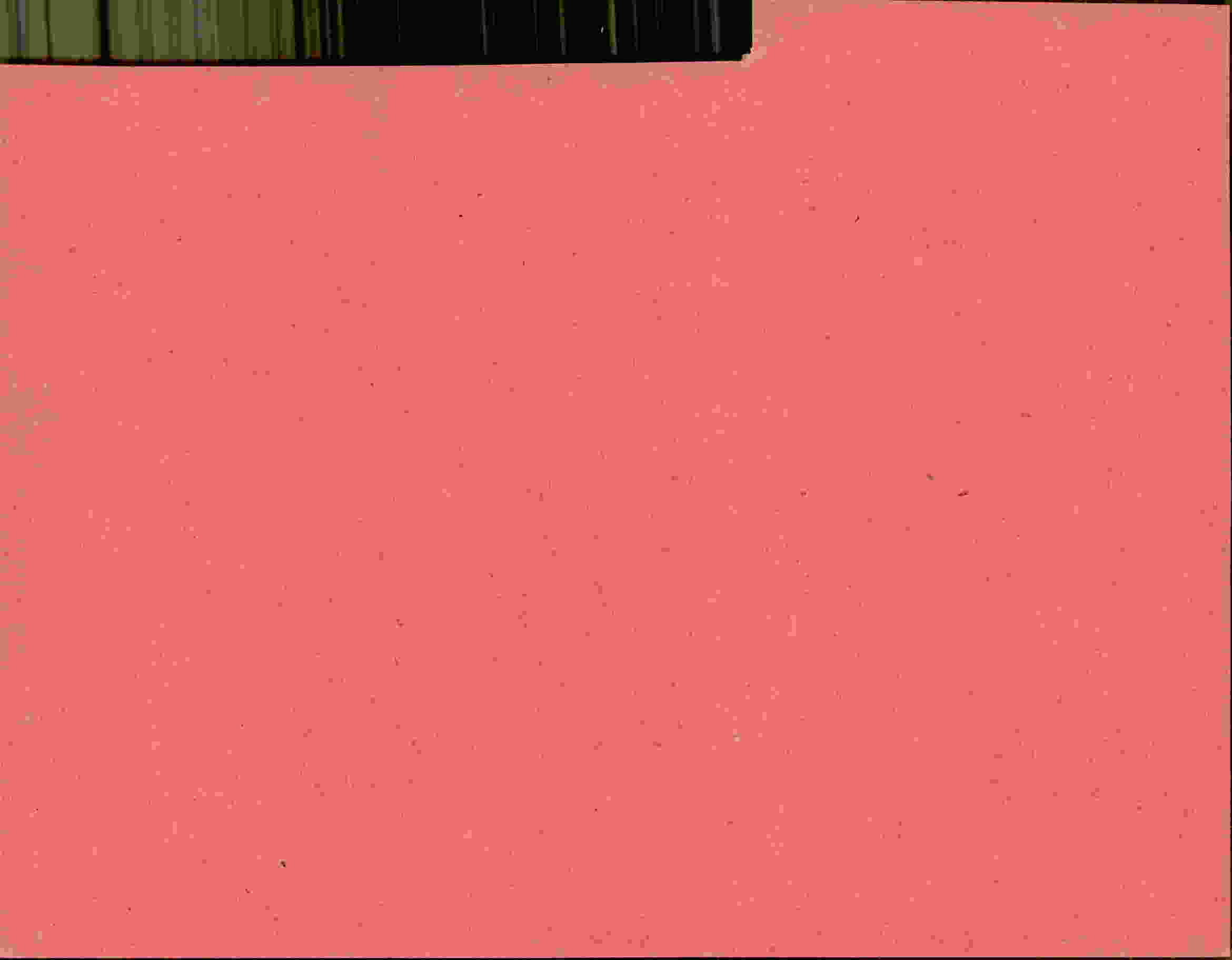 Rückseite des Dokuments