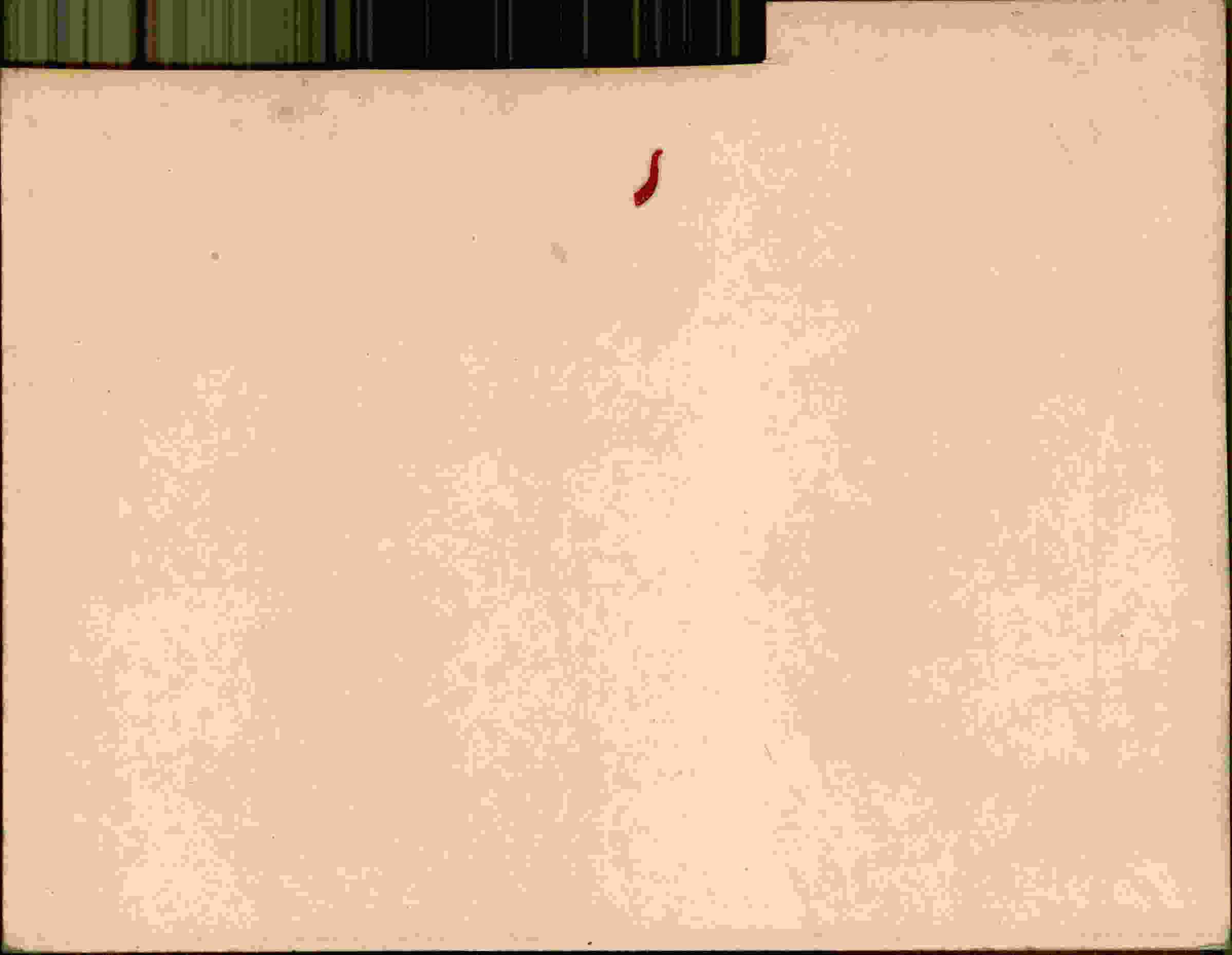 Rückseite des Dokuments