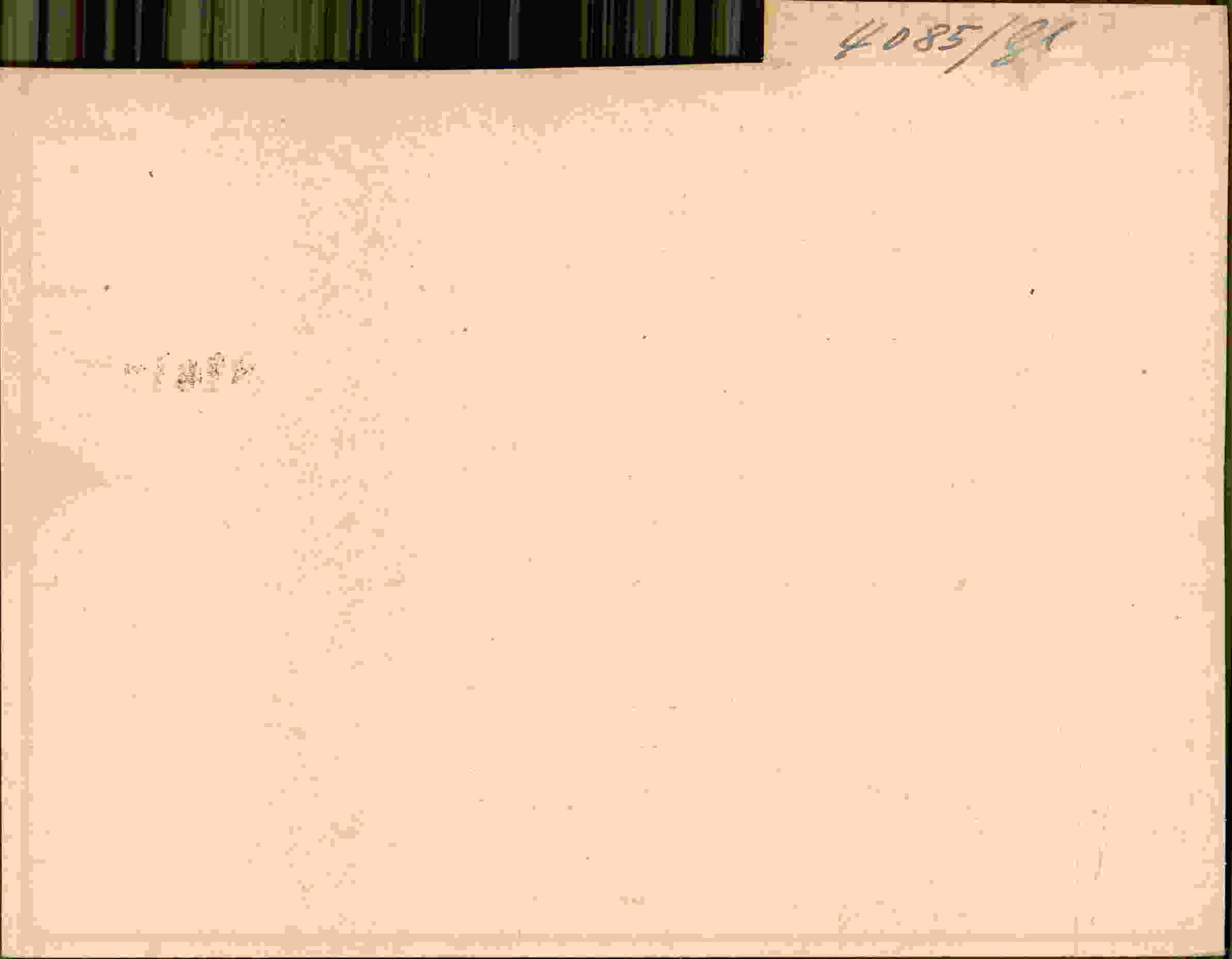 Rückseite des Dokuments