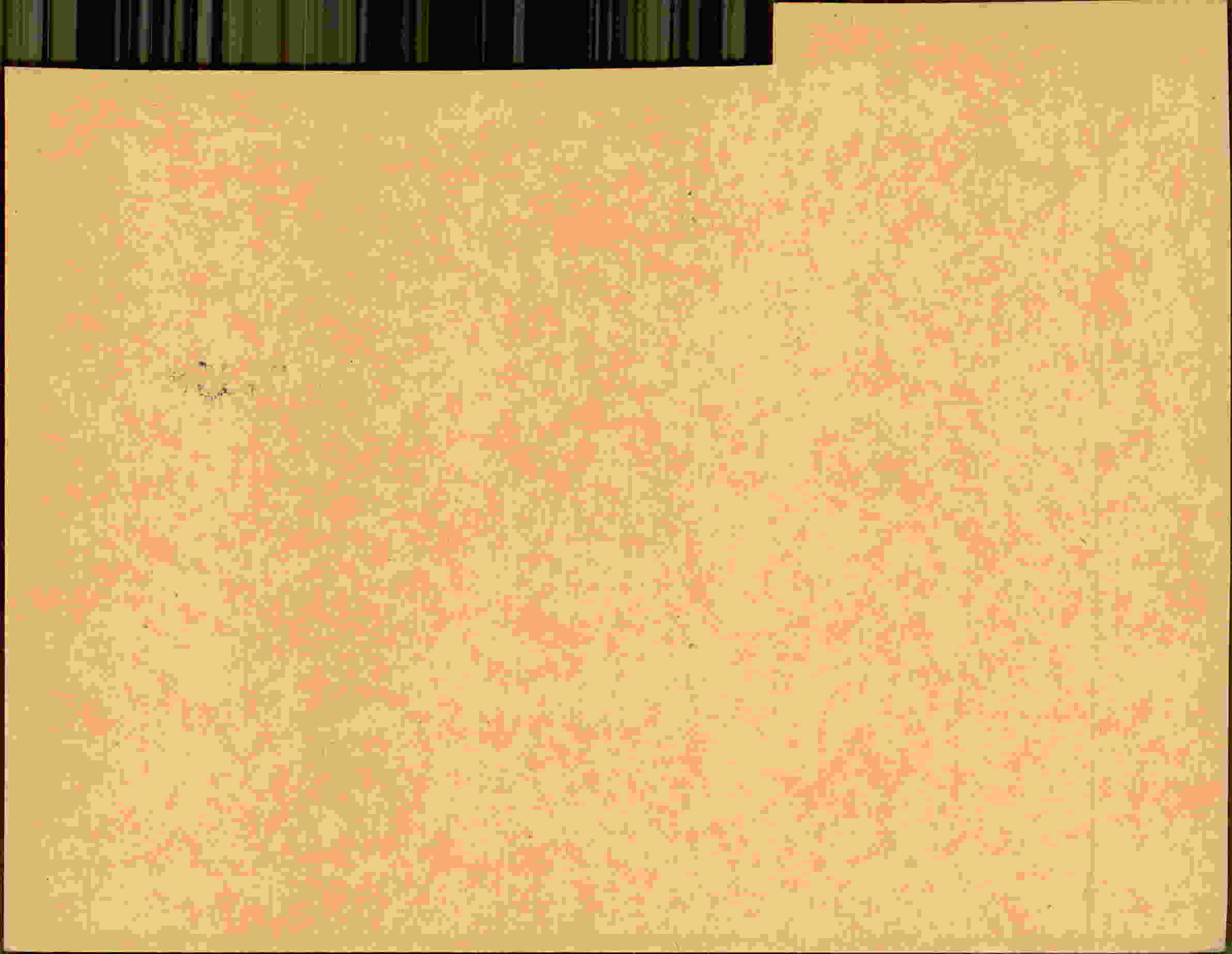 Rückseite des Dokuments
