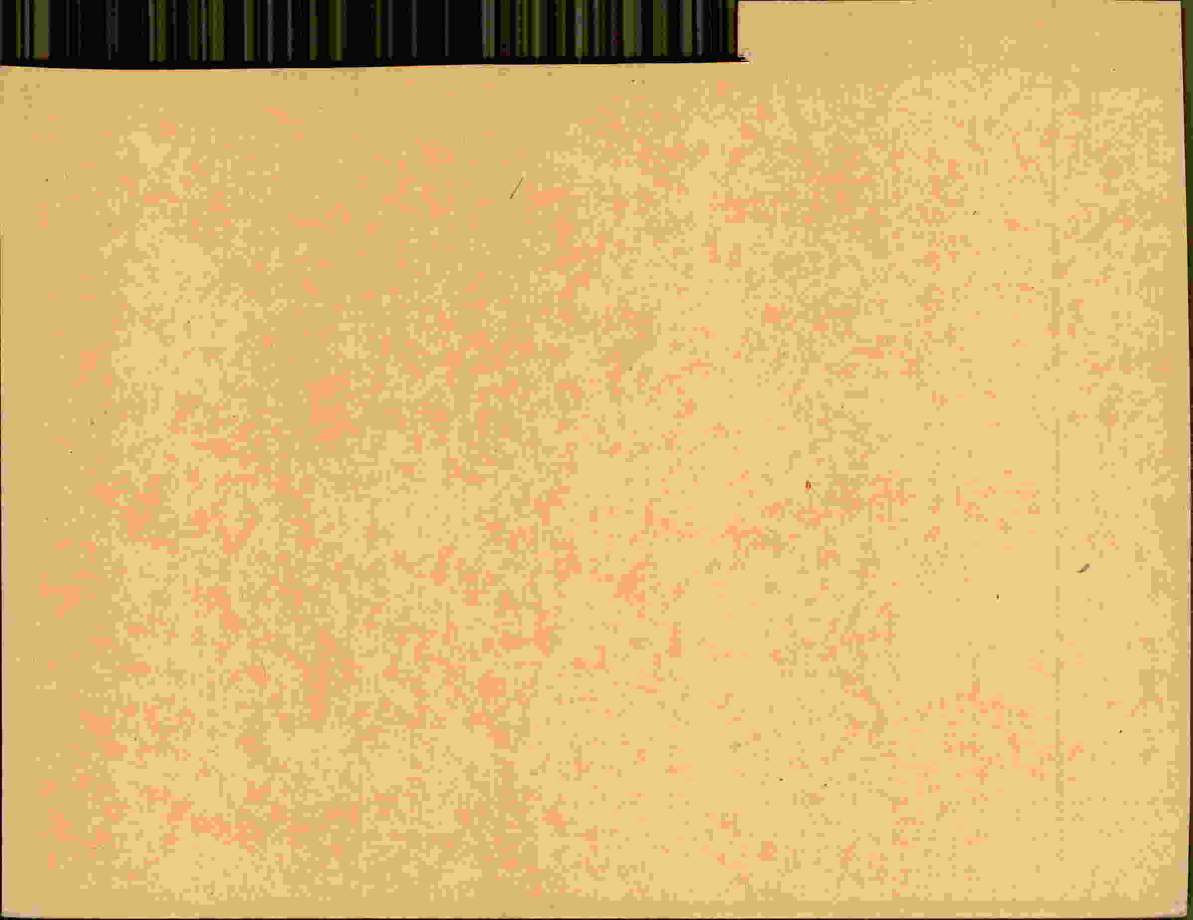 Rückseite des Dokuments