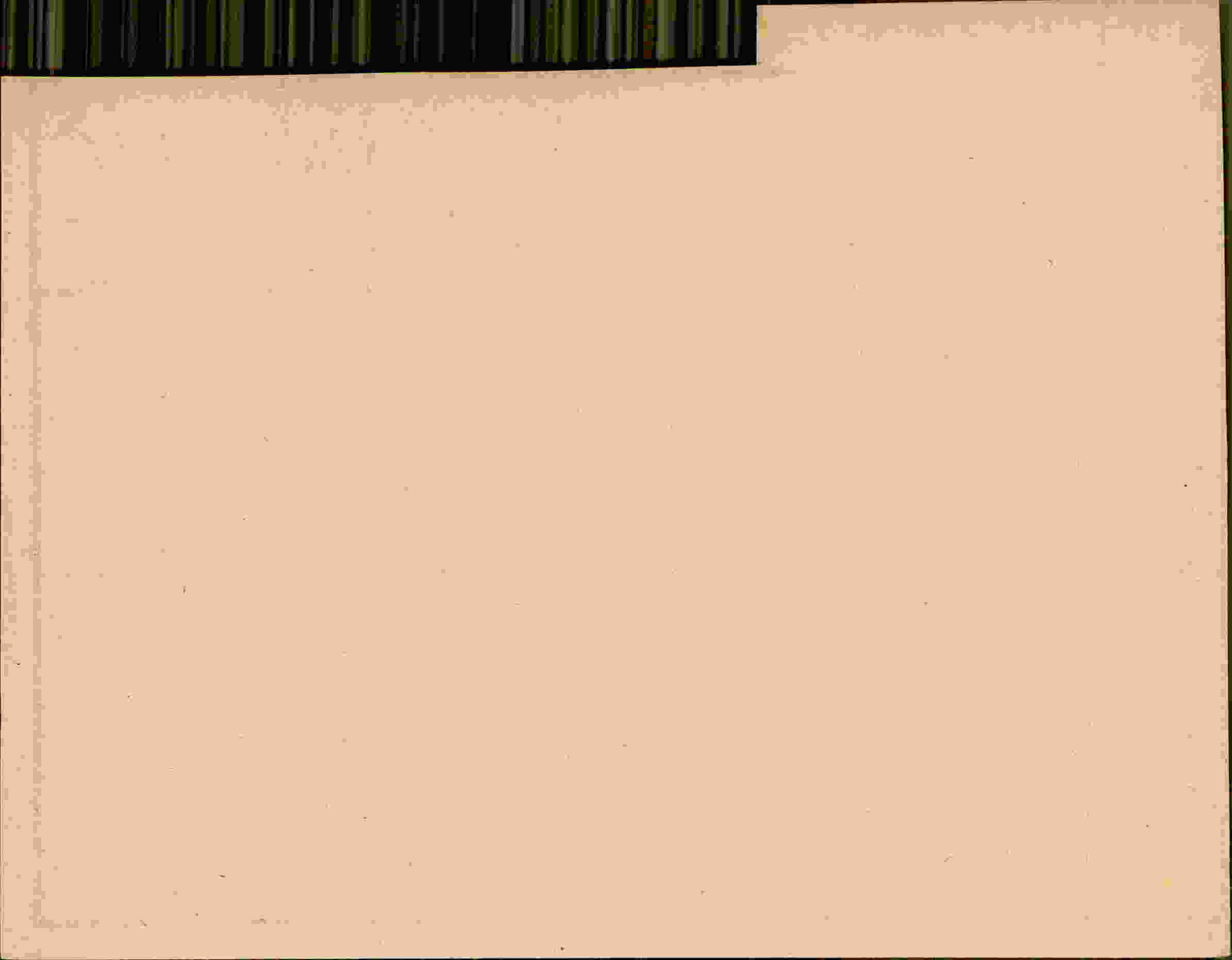 Rückseite des Dokuments