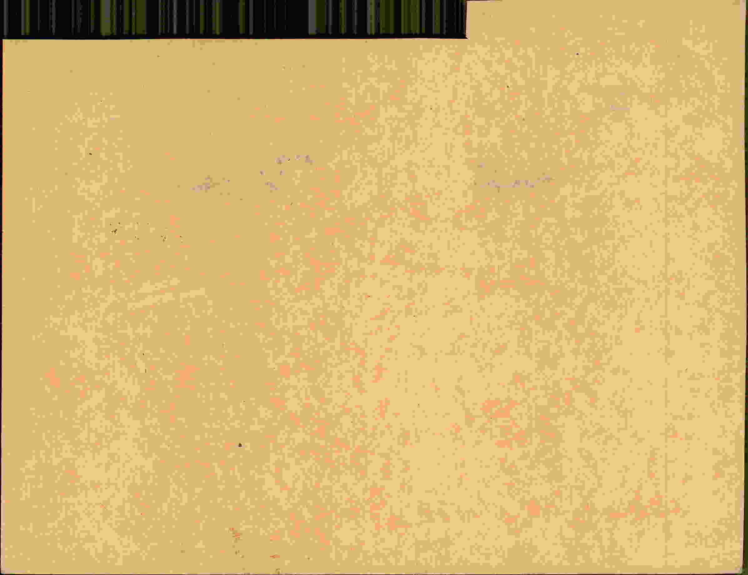 Rückseite des Dokuments