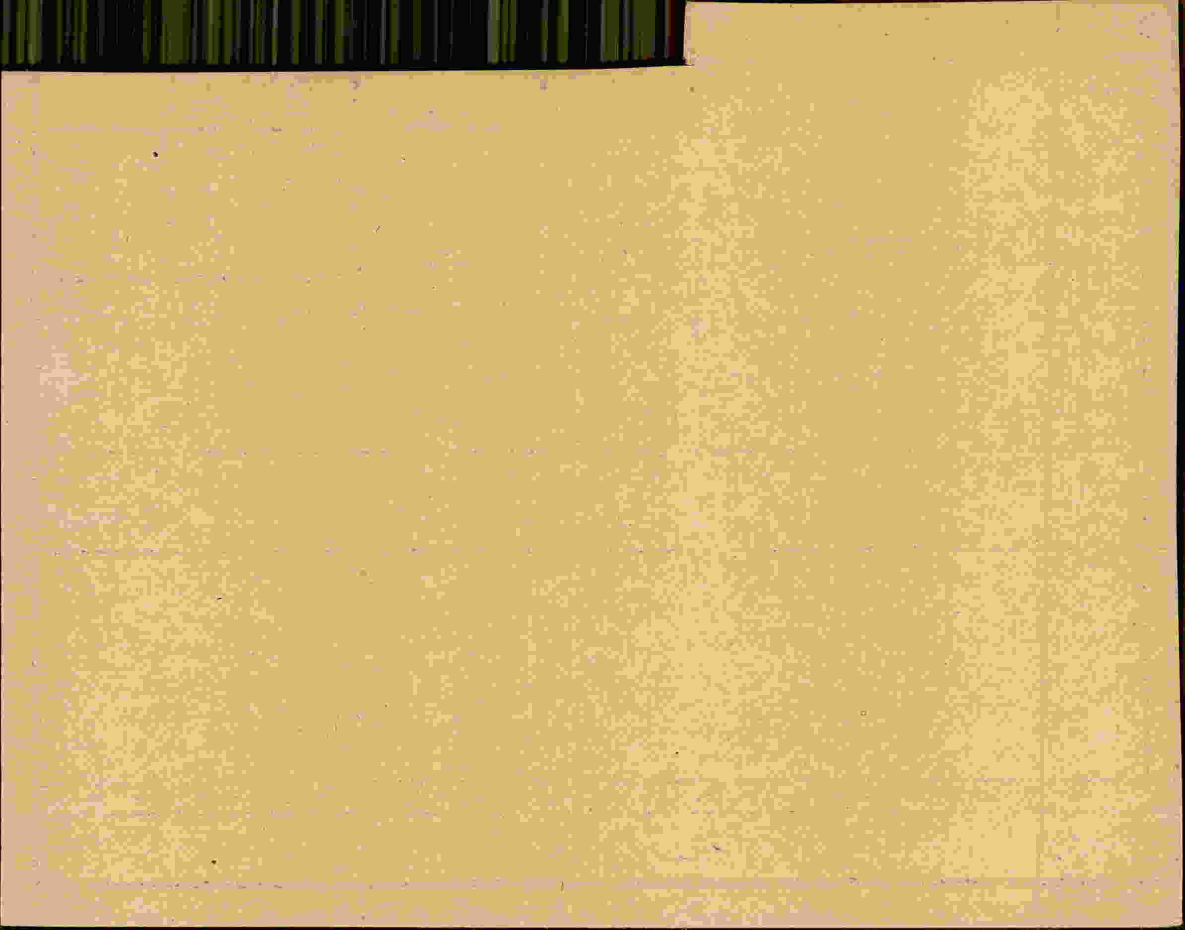 Rückseite des Dokuments